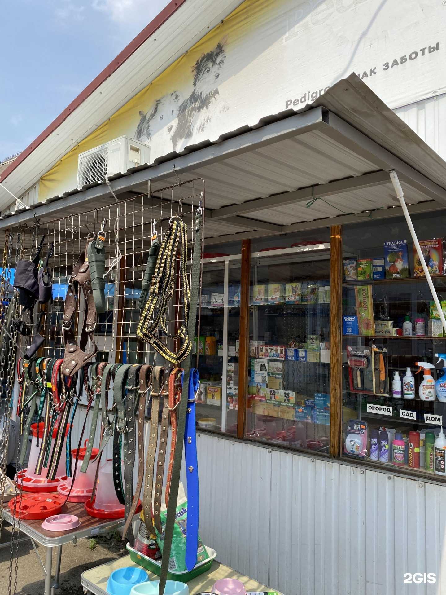 Отзывы на компанию Айболит в Минеральных Водах c фото