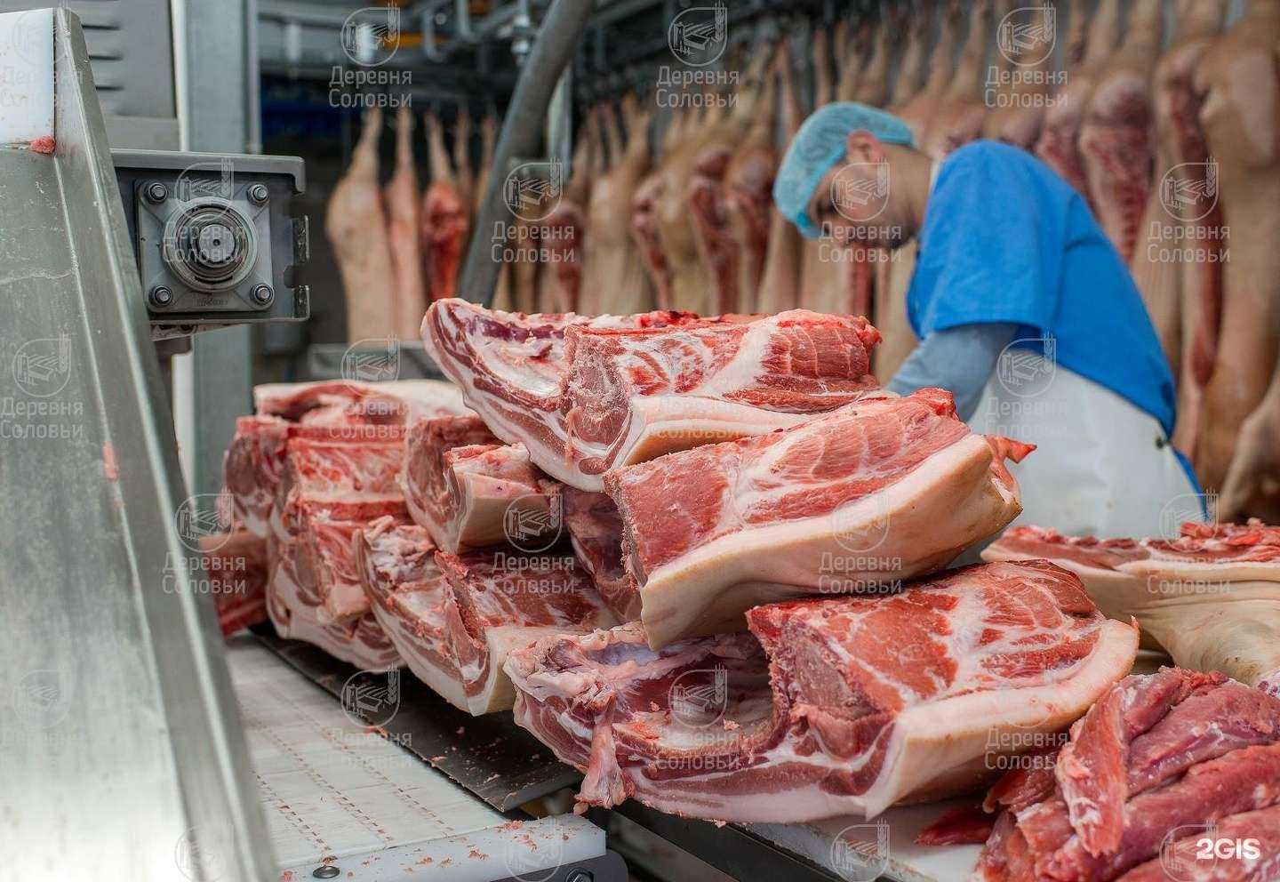 Отзывы на компанию Деревня Соловьи в Пскове c фото