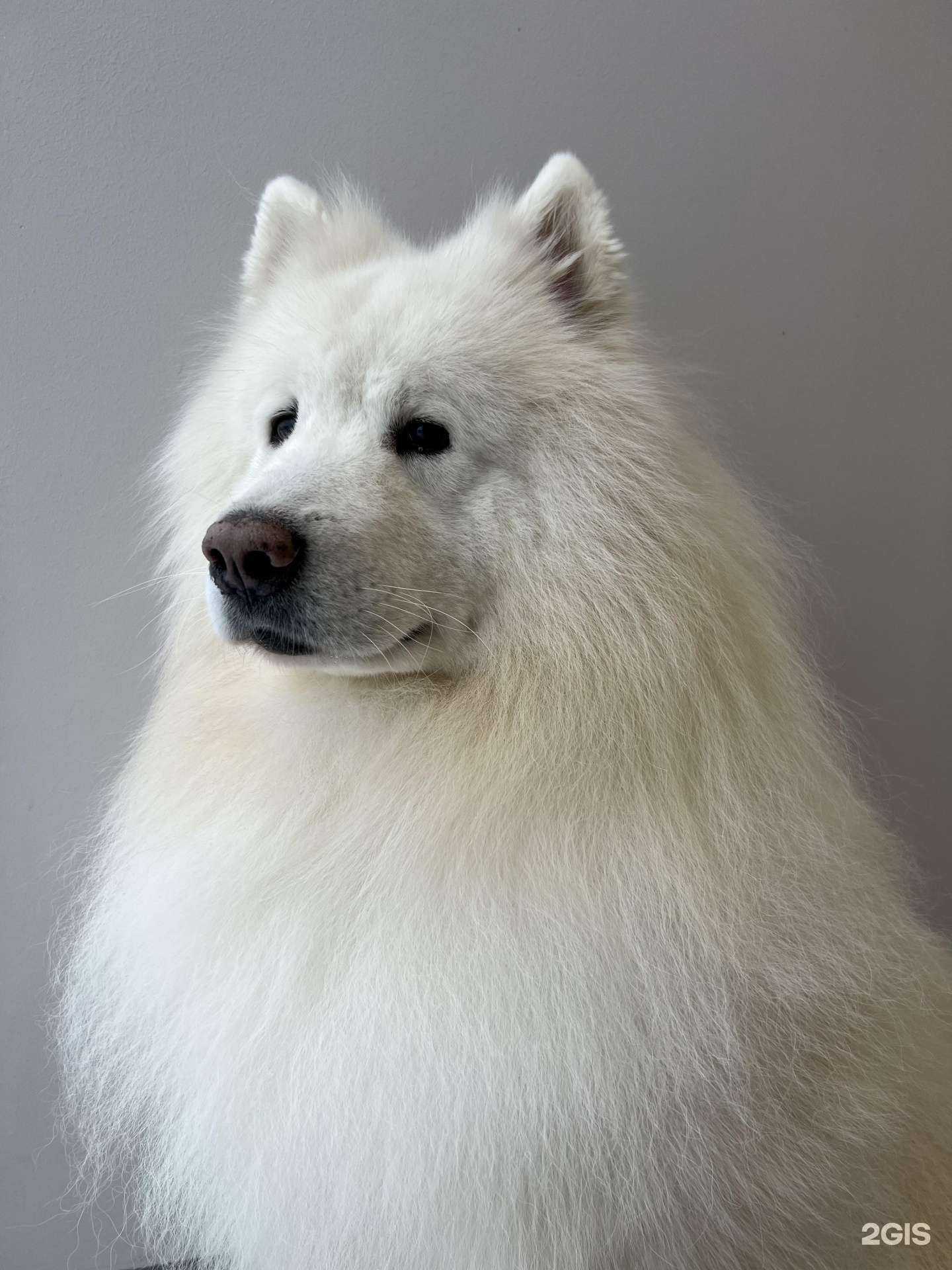 Отзывы на компанию Красавчик в г. Петрозаводск c фото