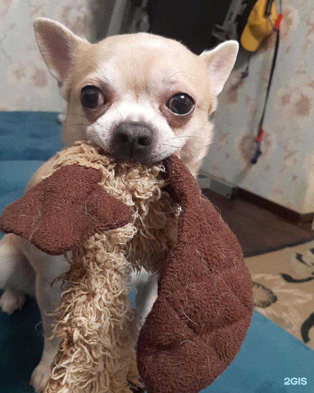 Отзывы на компанию Кеша в г. Смоленск c фото