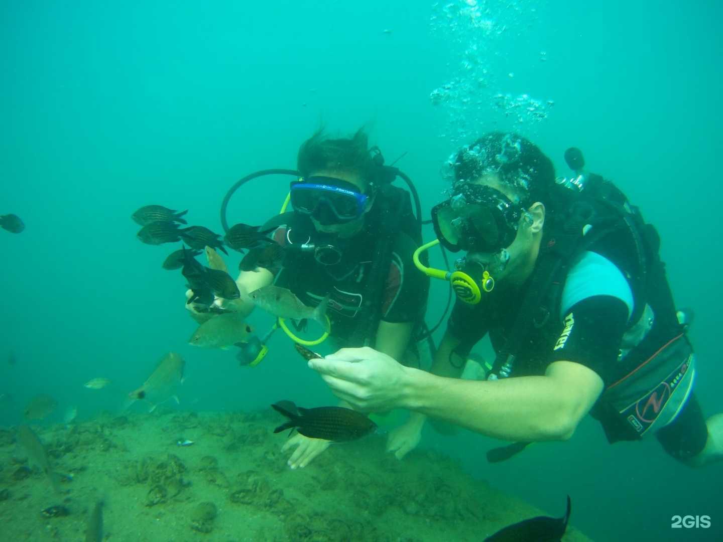 Отзывы на компанию Глубина в Сочи c фото