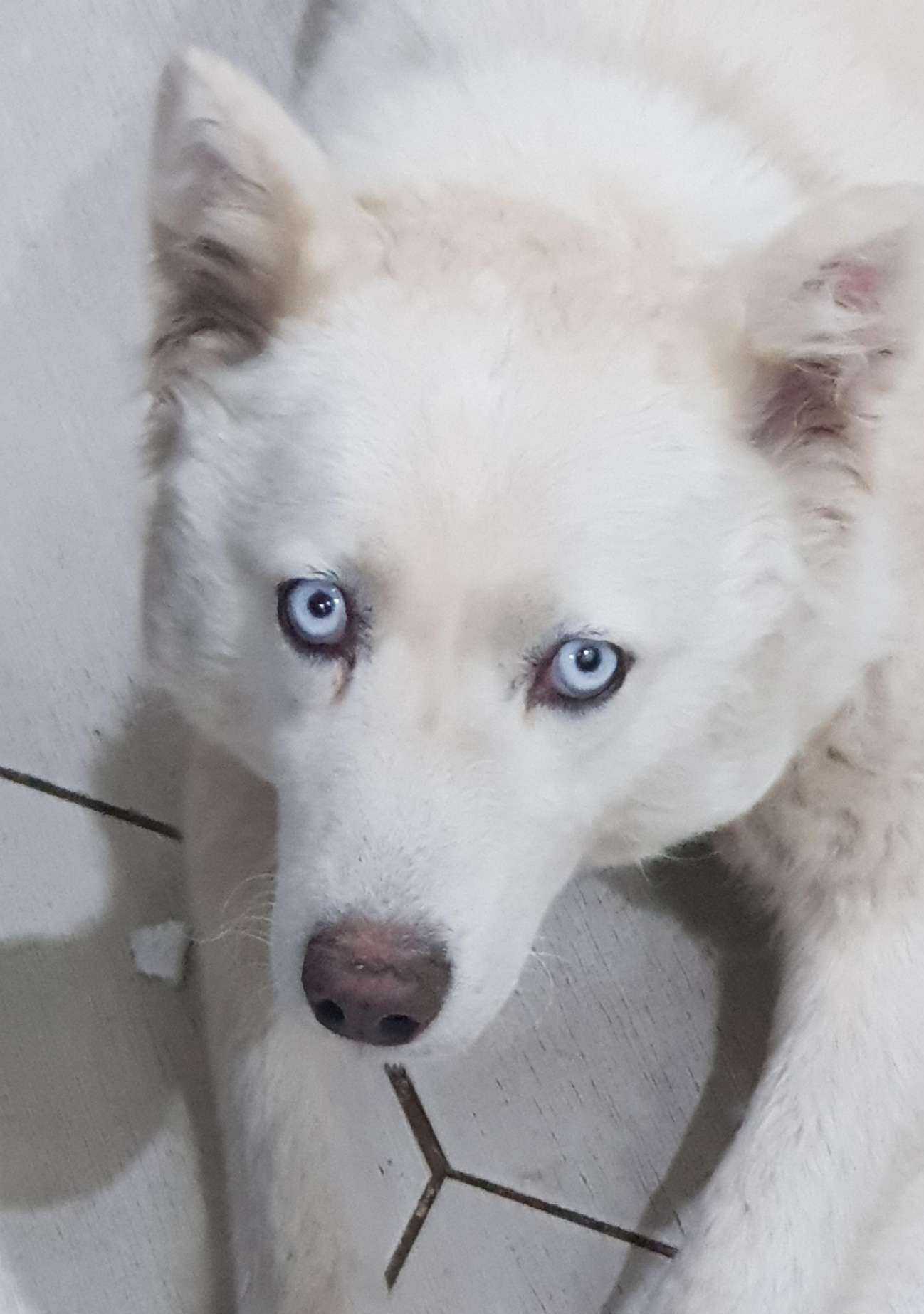 Отзывы на компанию Zooвет в г. Казань c фото