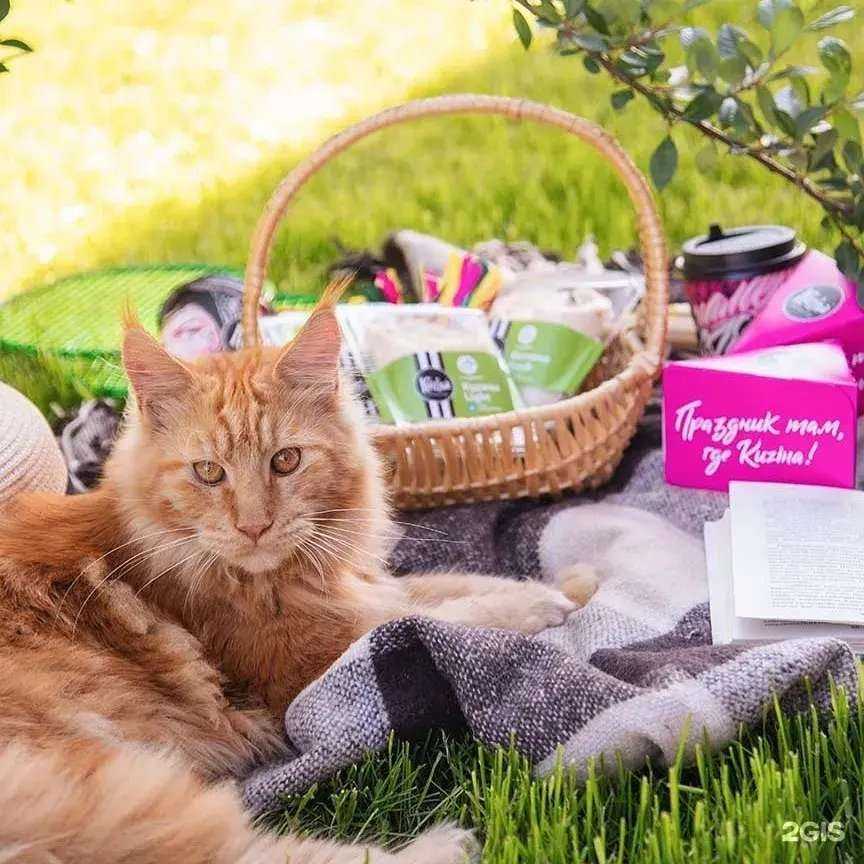 Отзывы на компанию Kuzina в Новосибирске c фото