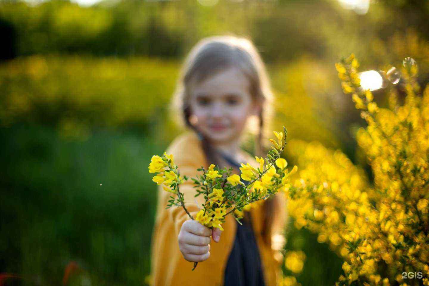 Отзывы на компанию Photo cafe в г. Тольятти c фото