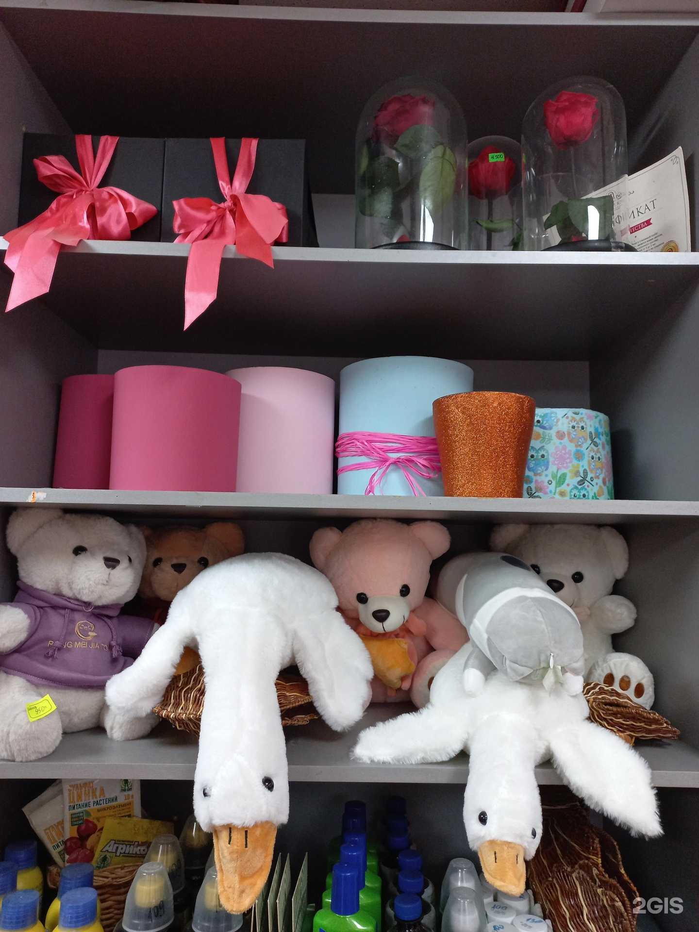 Отзывы на компанию Diamond Flowers в г. Тольятти c фото