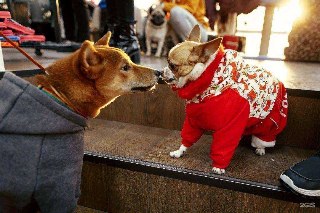 Отзывы на компанию Корма56 в Оренбурге c фото