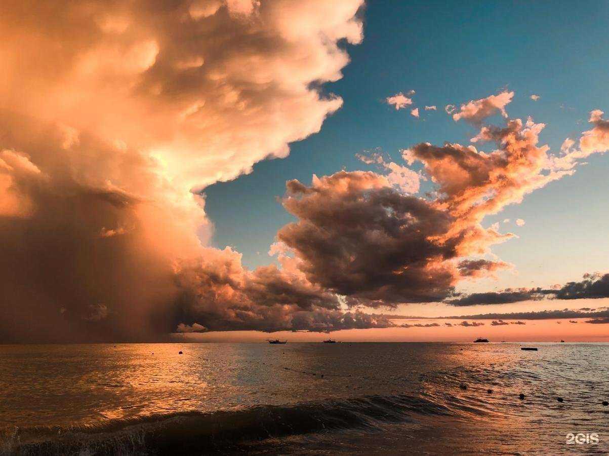 Отзывы на компанию Самотлор 2 в г. Сочи c фото