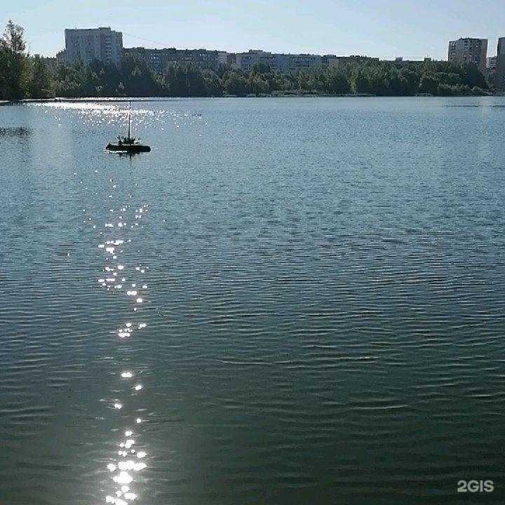 Отзывы на компанию Ручная акула в Уфе c фото