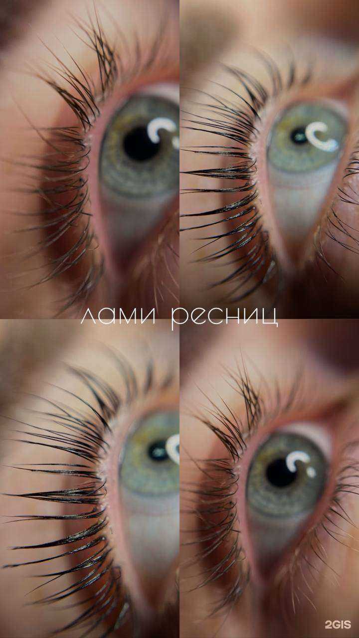 Отзывы на компанию Стриджи в Белгороде c фото