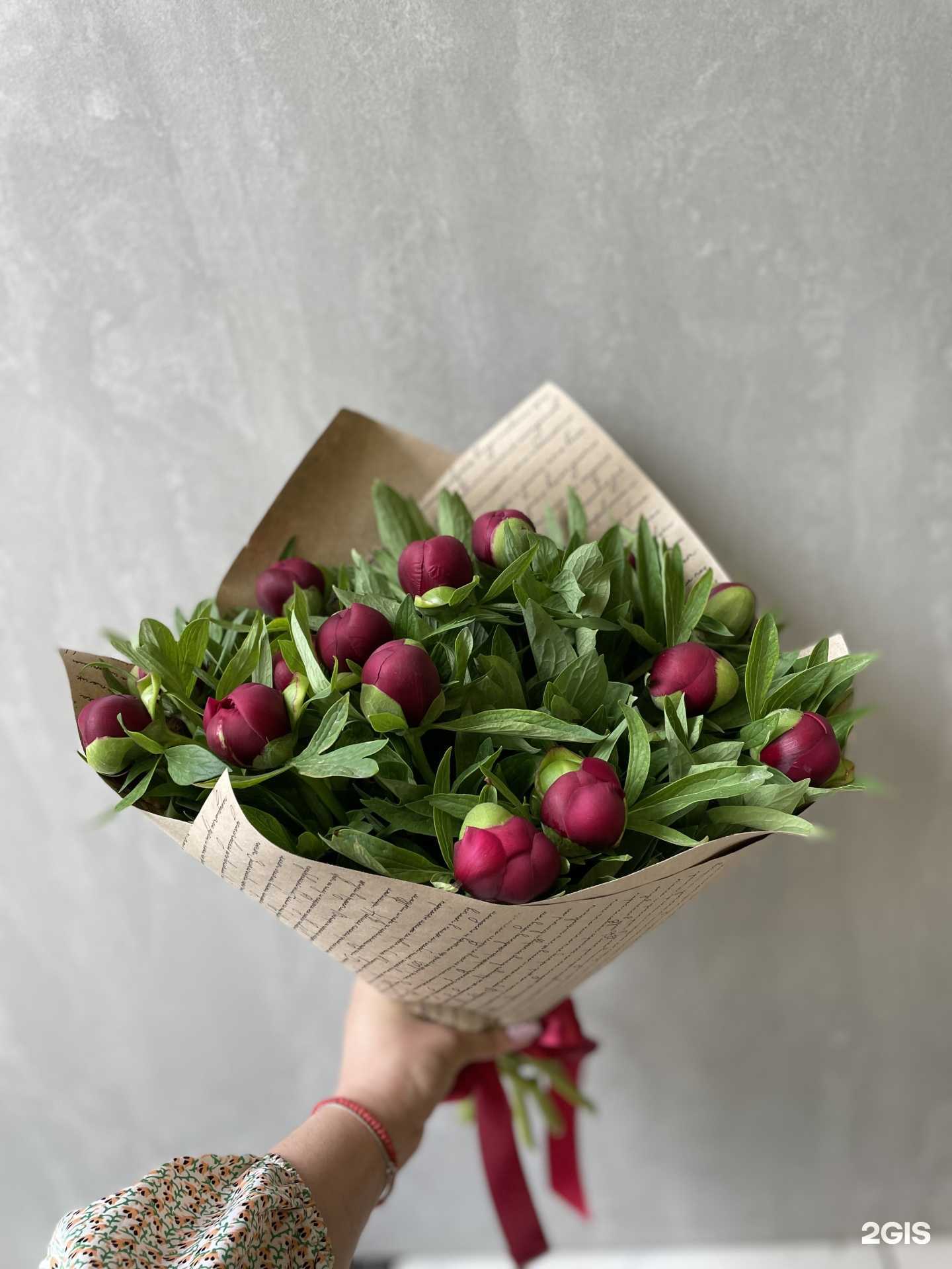 Отзывы на компанию Даркин в Новороссийске c фото