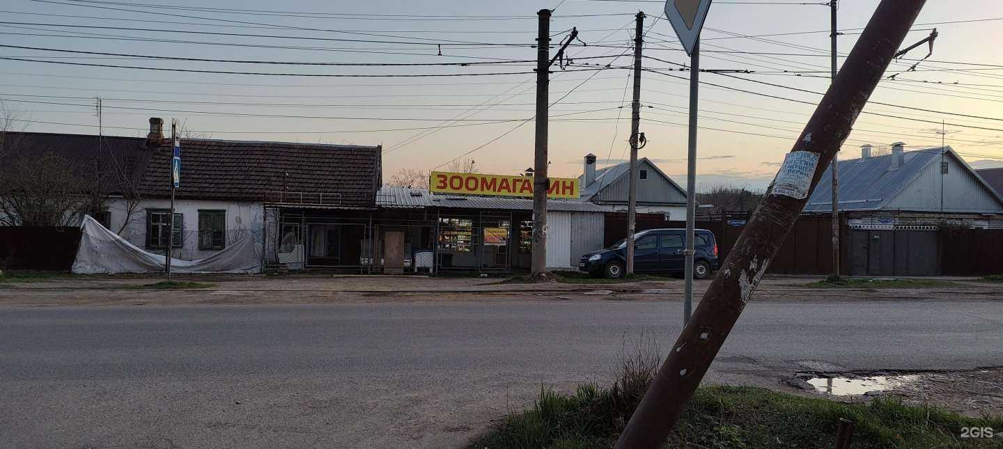 Отзывы на компанию ЗооЛавка в г. Пятигорск c фото