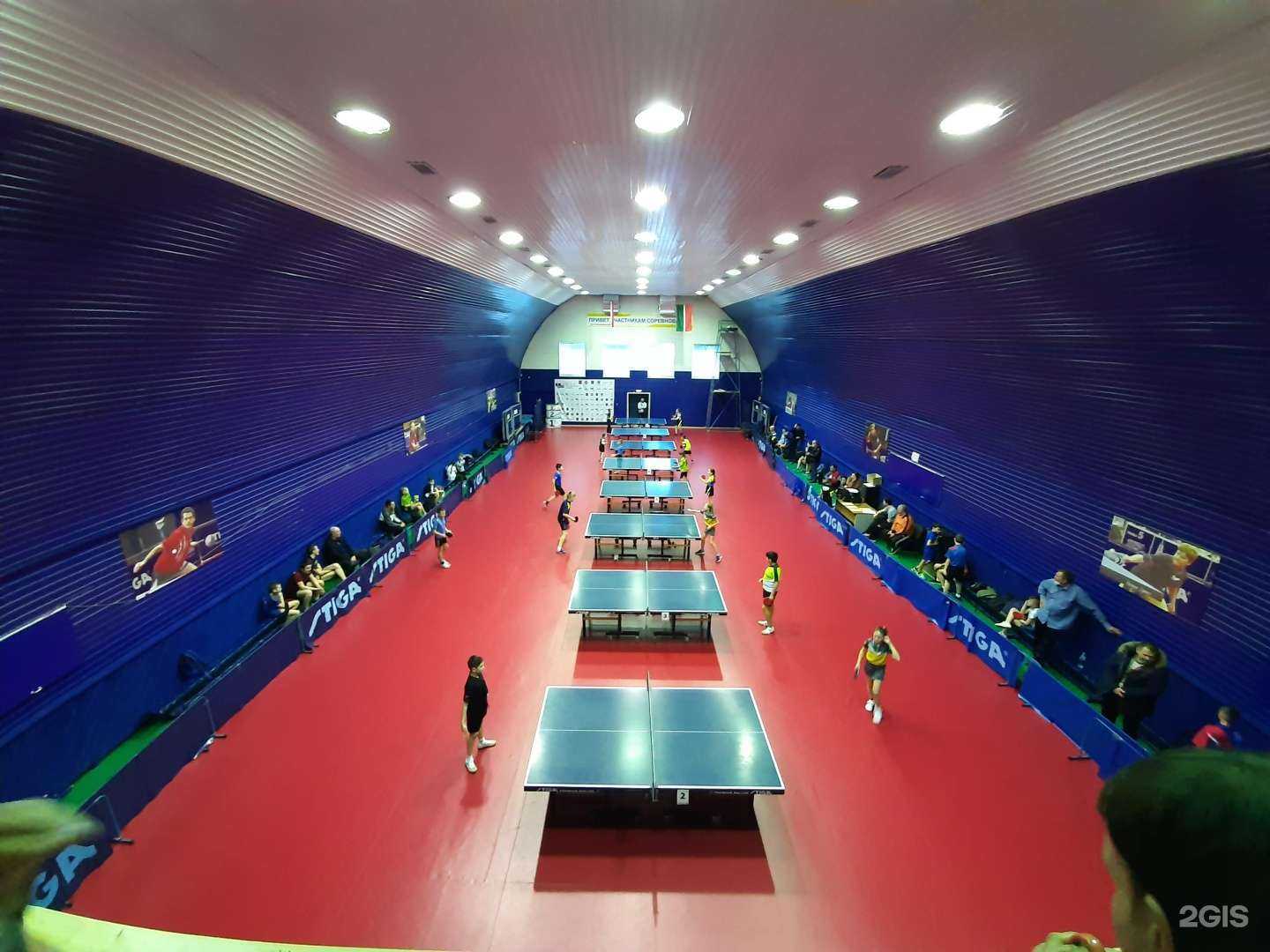 Отзывы на компанию Спортивная школа по настольному теннису в Альметьевске c фото - фотография 2 из 2