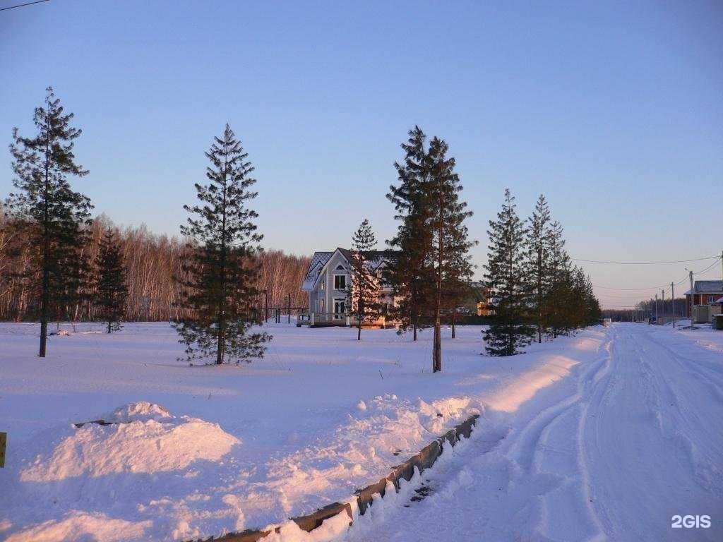 Отзывы на компанию Дриада в Омске c фото