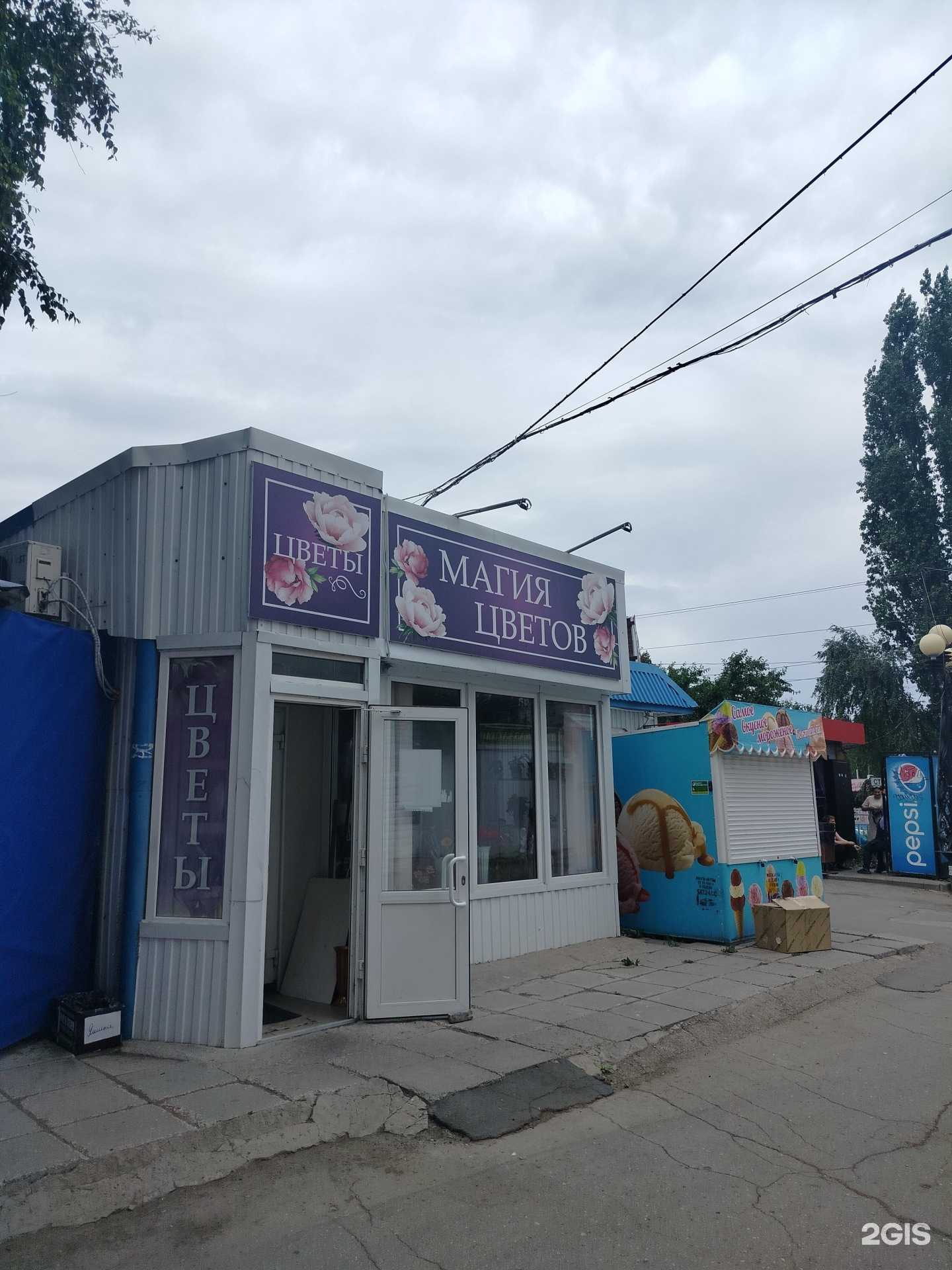 Отзывы на компанию Магия цветов в Балакове c фото