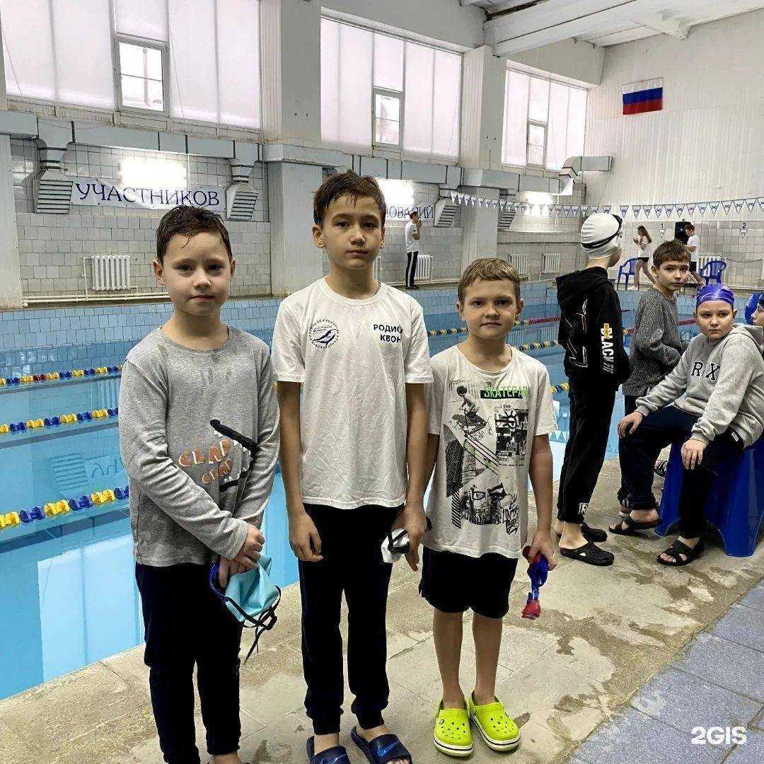 Отзывы на компанию Дельфин в Владимире c фото