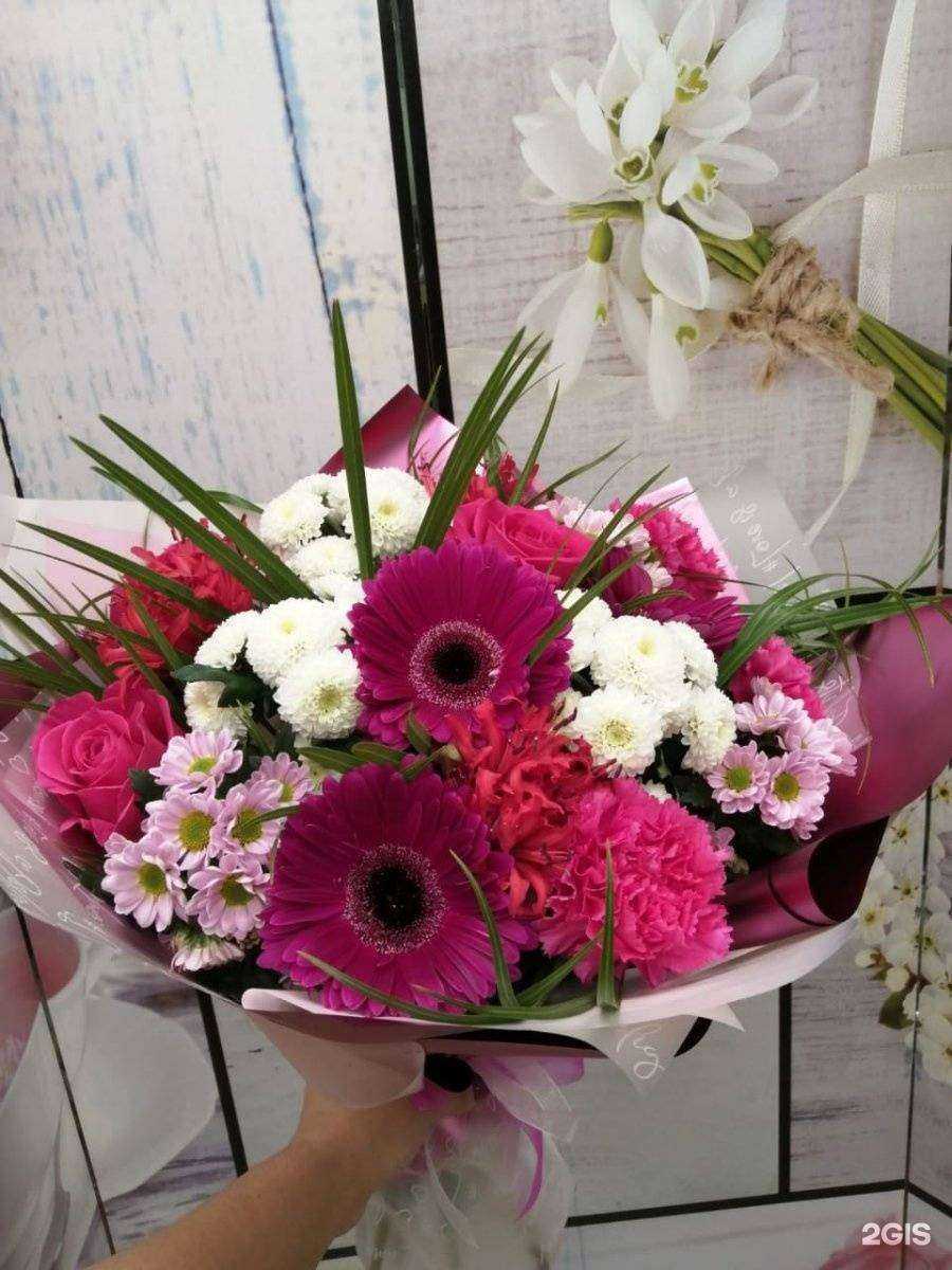 Отзывы на компанию Оазис в Чите c фото