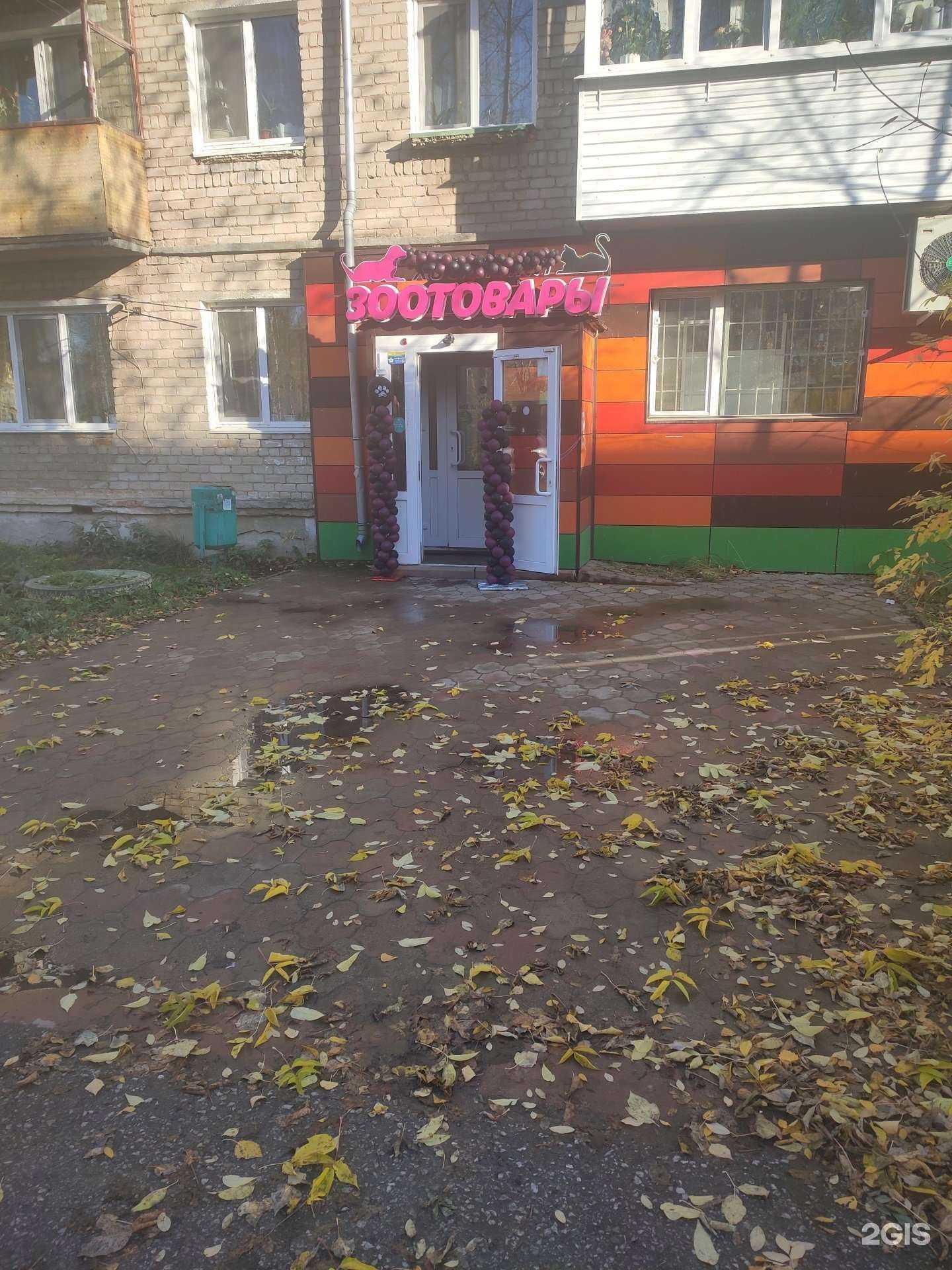 Отзывы на компанию Хвостики в Перми c фото