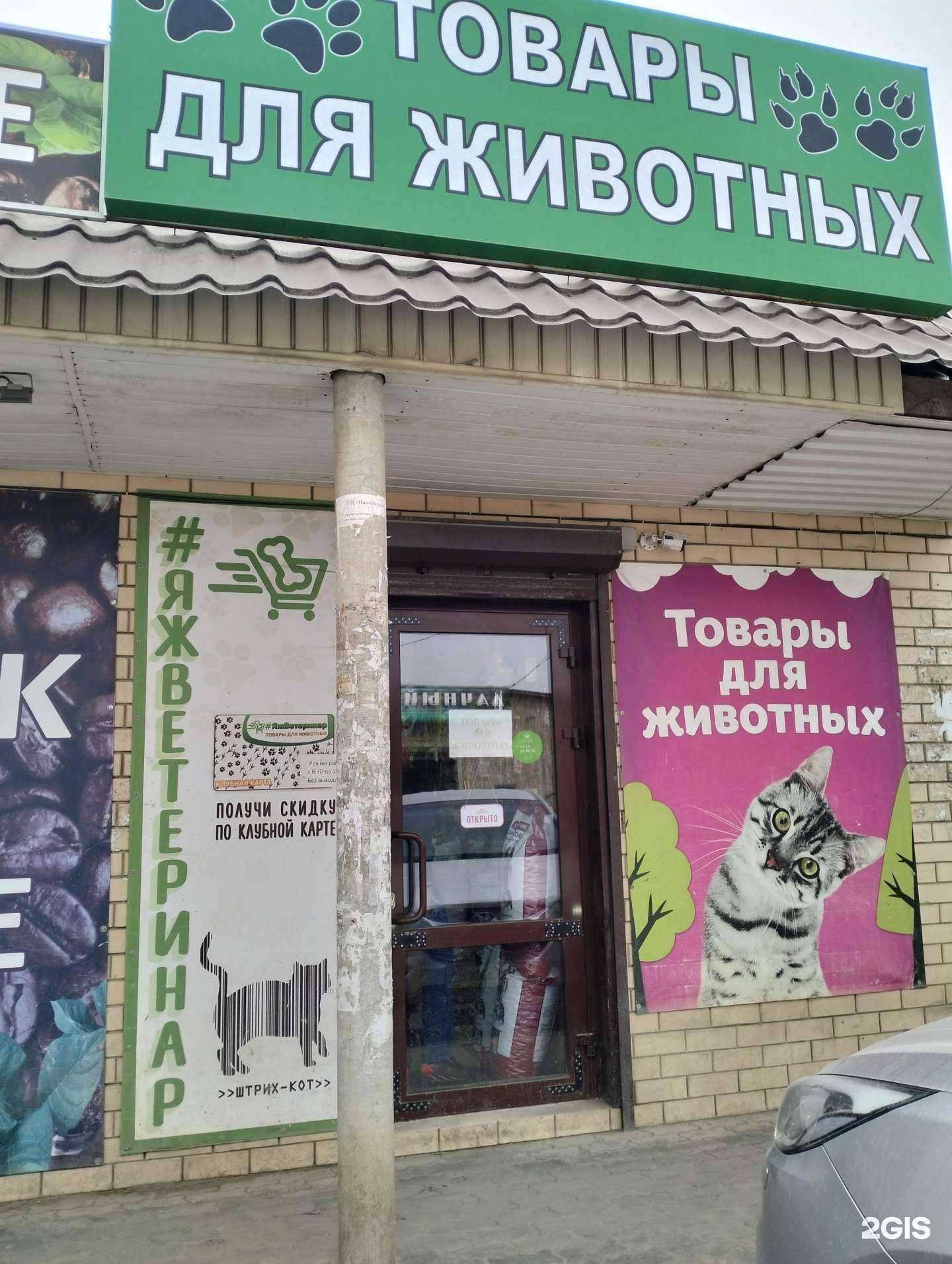 Отзывы на компанию Я ж ветеринар в Краснослободске c фото