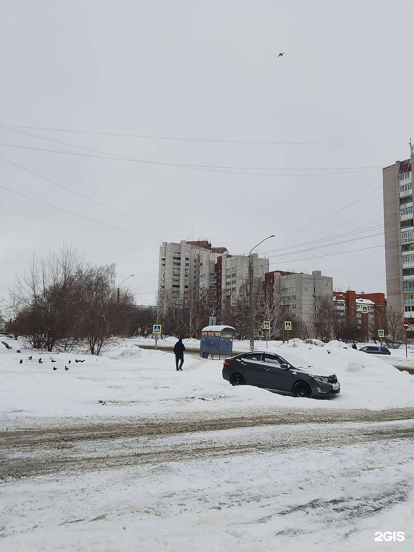 Отзывы на компанию Интуиция в Барнауле c фото - фотография 2 из 2