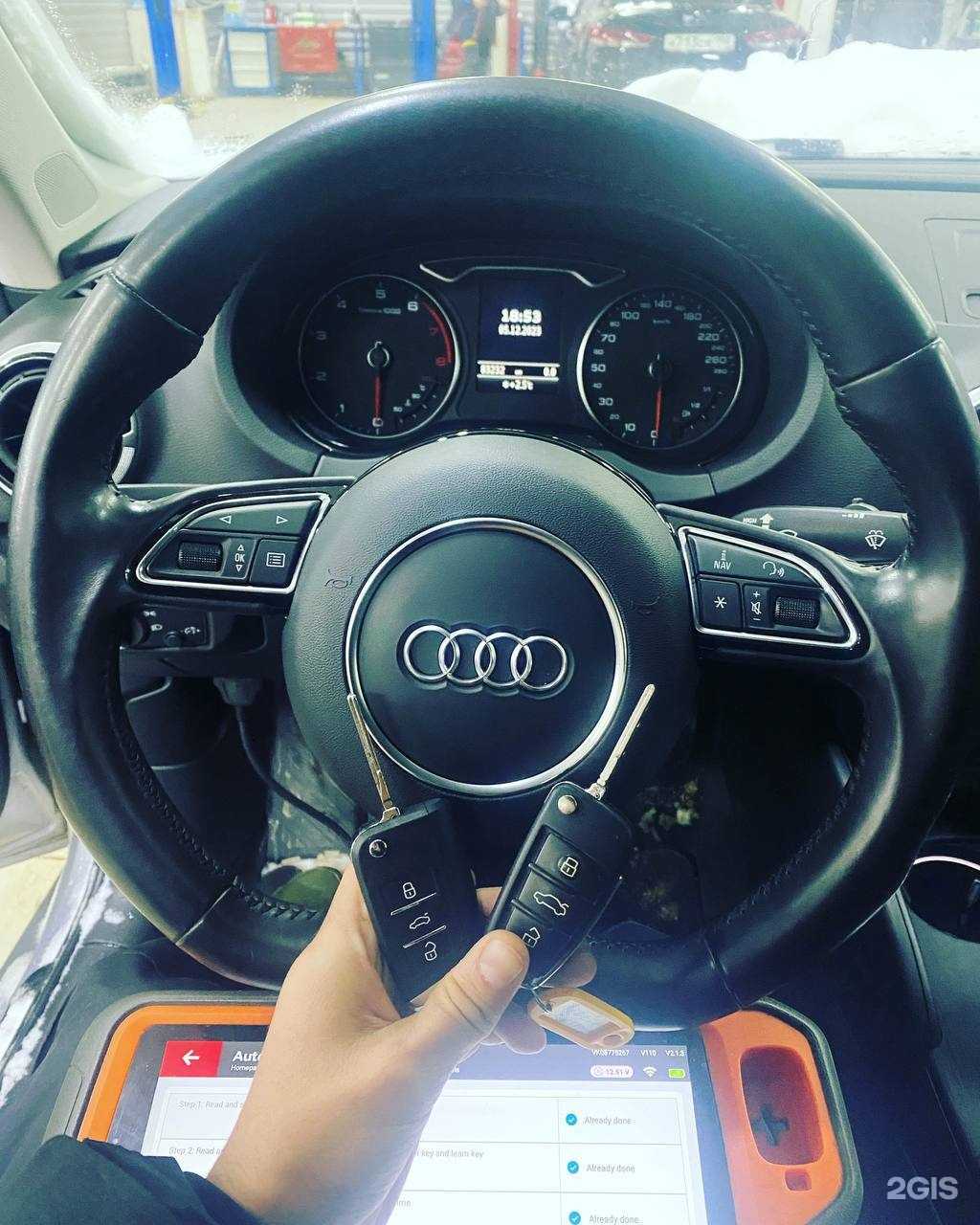 Отзывы на компанию Медведь в Сочи c фото