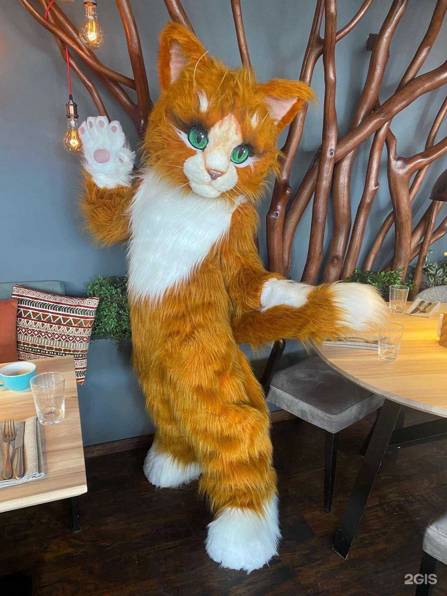 Отзывы на компанию Аниматоры Фиеста в г. Саранск c фото