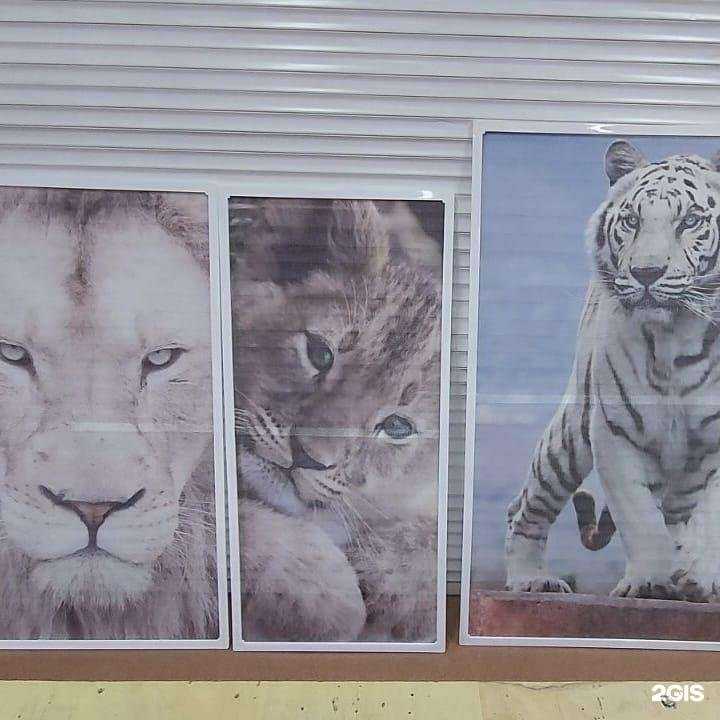 Отзывы на компанию Практичная защита gm в г. Челябинск c фото