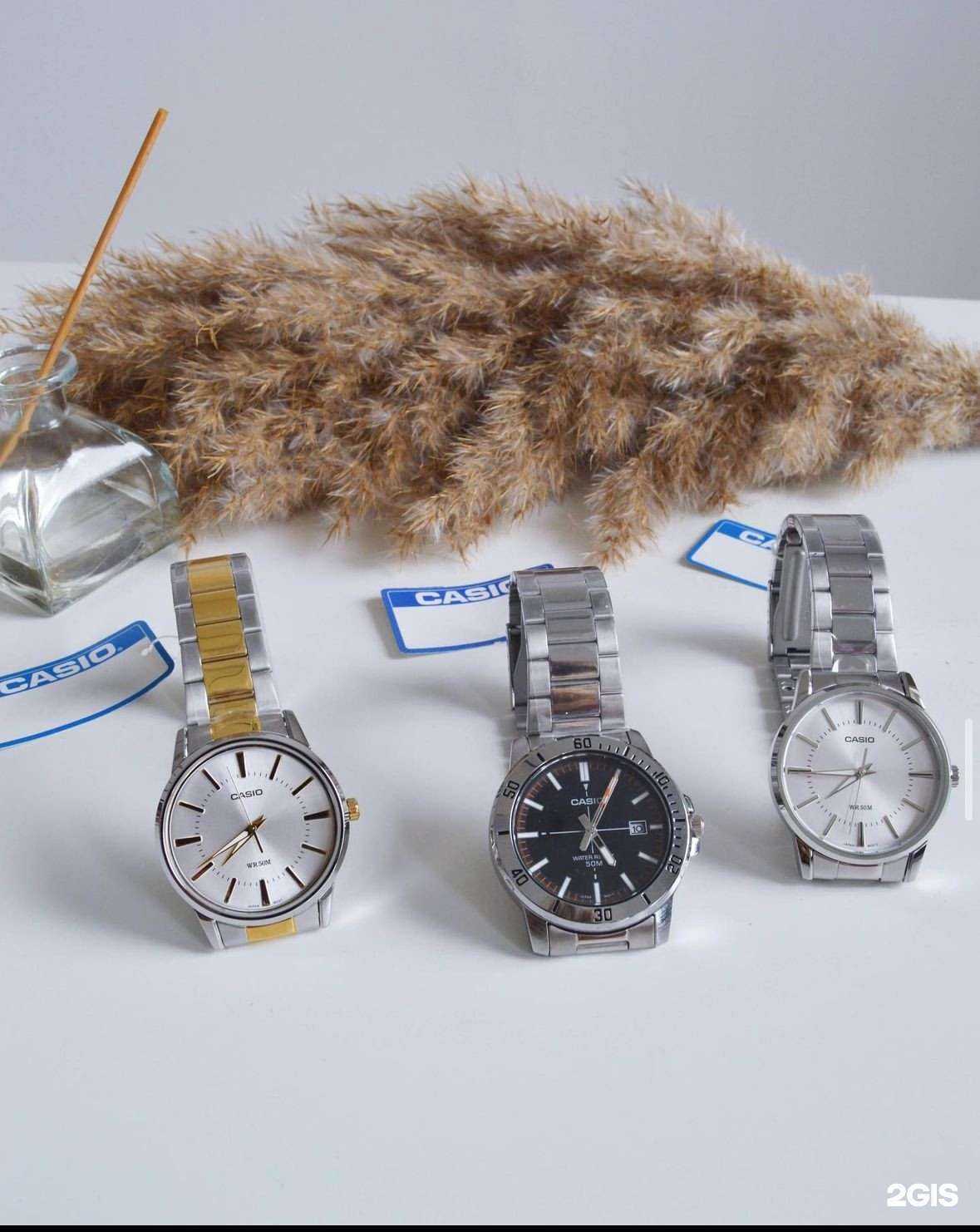 Отзывы на компанию Alimus в Курске c фото