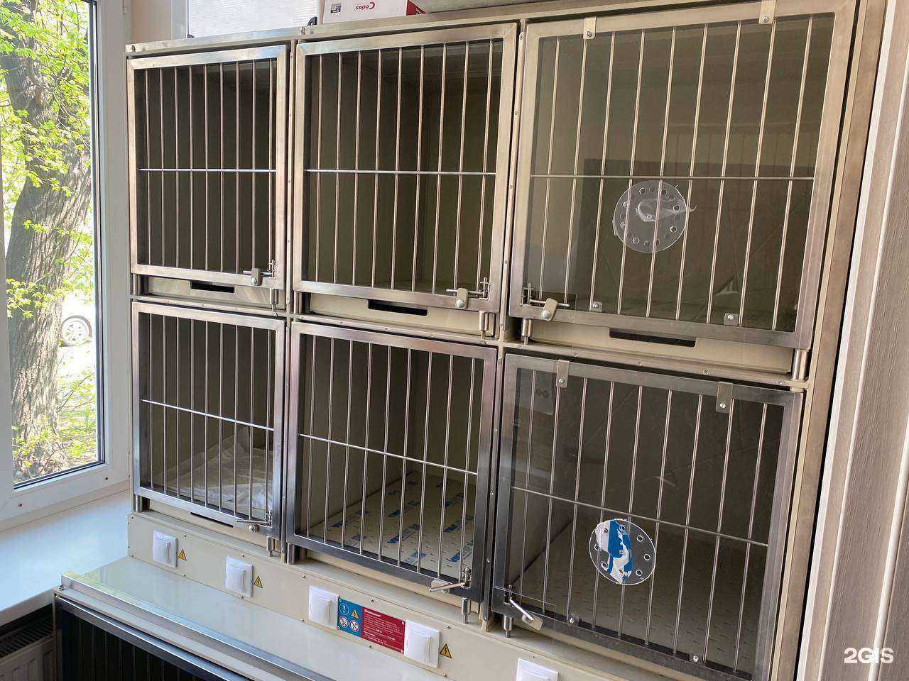 Отзывы на компанию Моя любовь в Владимире c фото