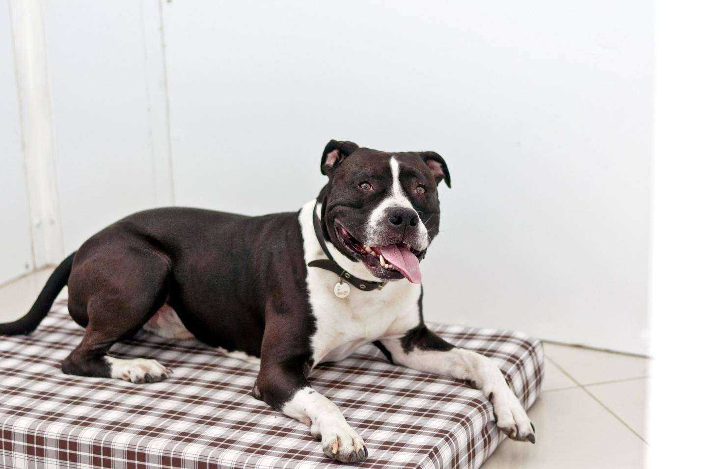 Отзывы на компанию Золотая косточка в Томске c фото