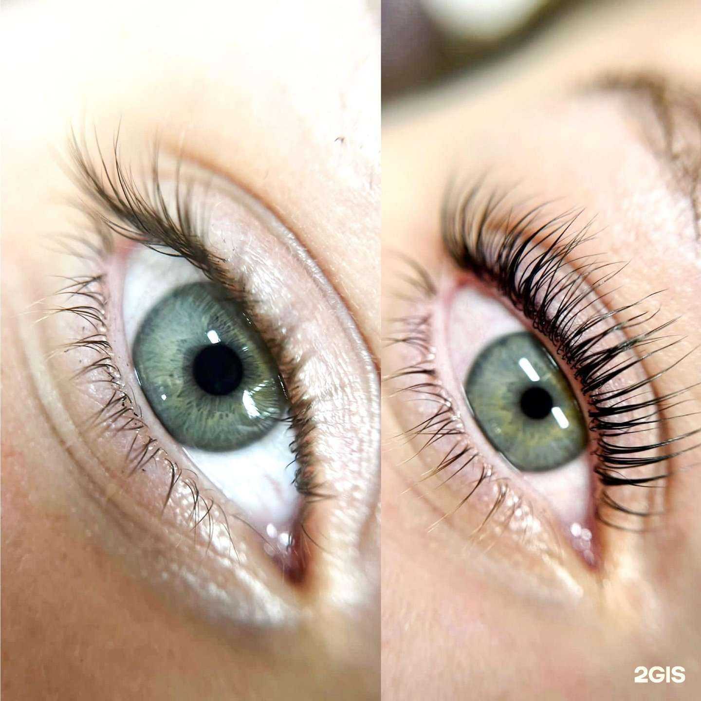 Отзывы на компанию Celebrity_studio_dv в Хабаровске c фото