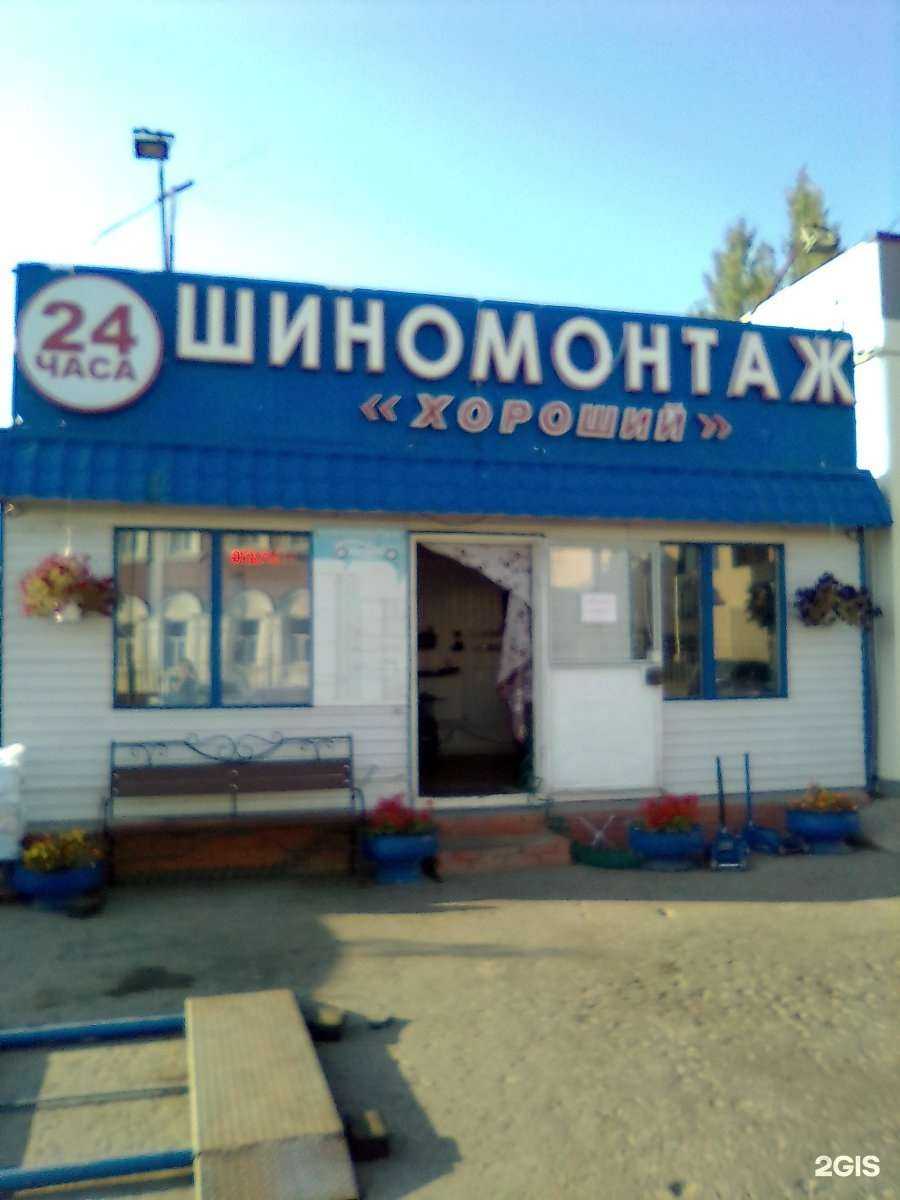 Отзывы на компанию Дельфин в Казани c фото - фотография 2 из 2