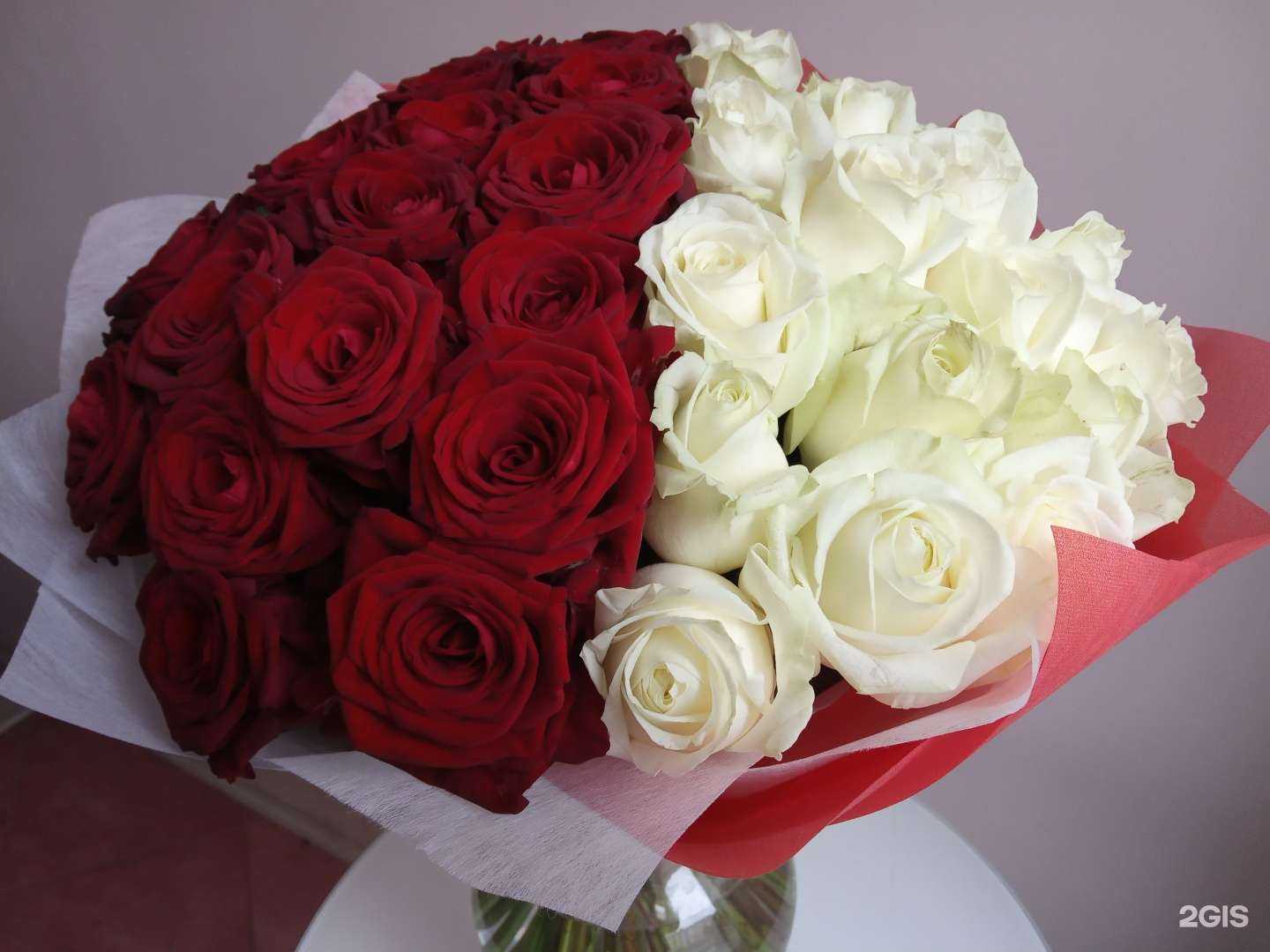 Отзывы на компанию Чалита в г. Нижний Новгород c фото