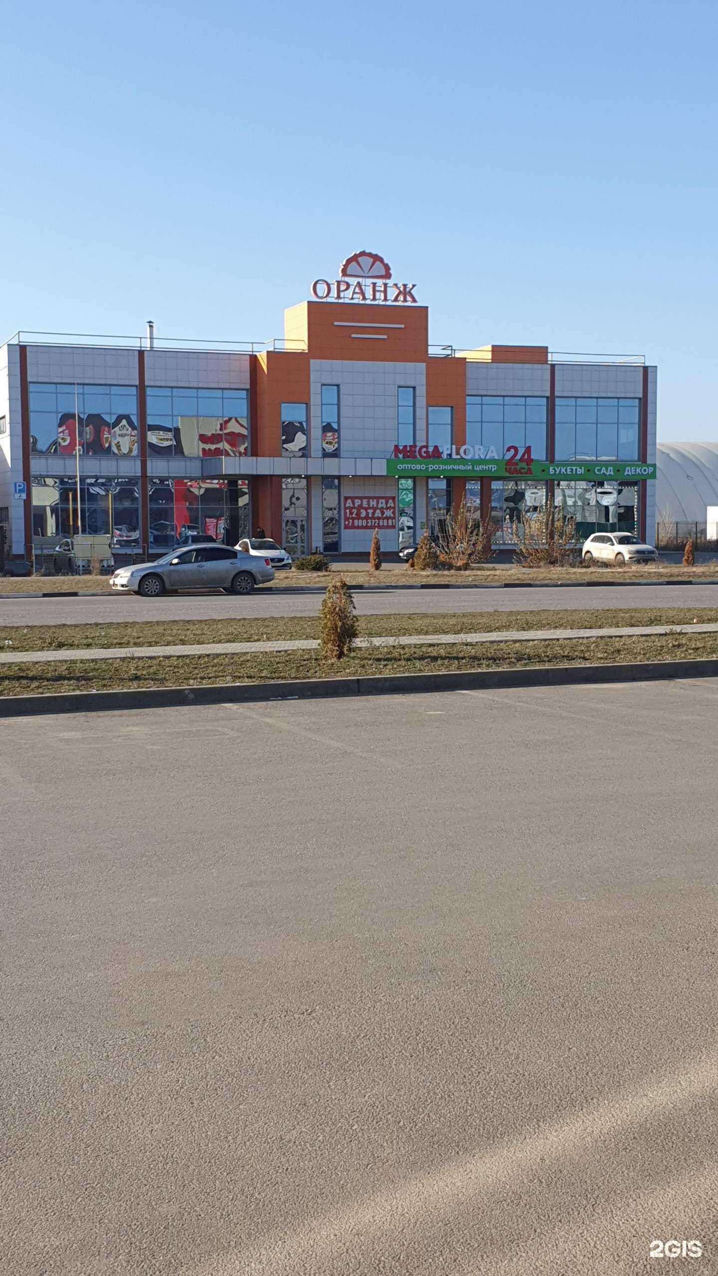 Отзывы на компанию Mega flora в Старом Осколе c фото - фотография 2 из 2