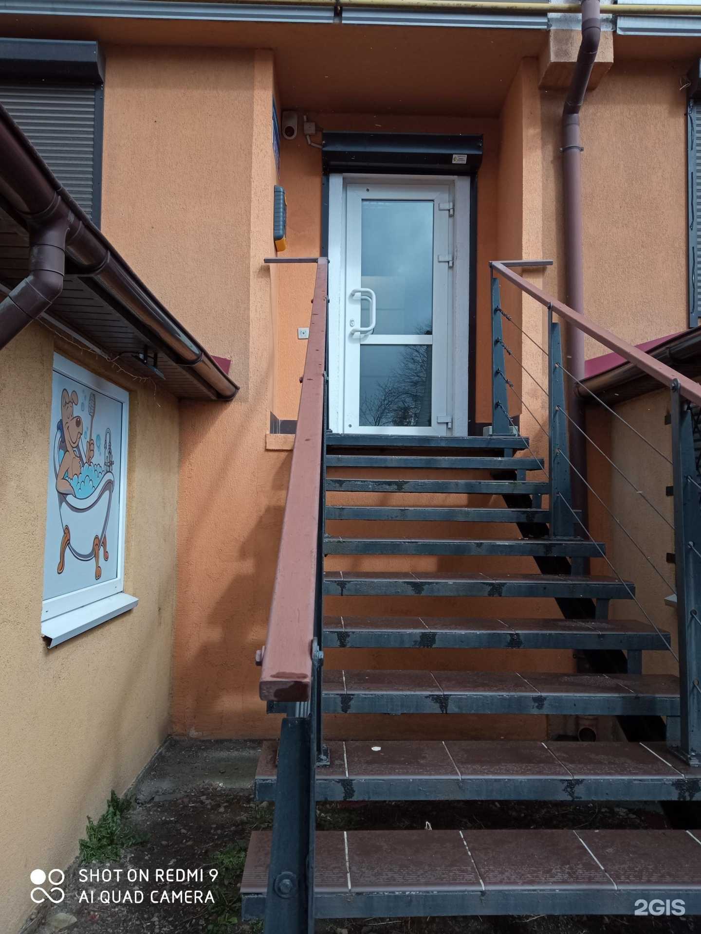 Отзывы на компанию BetoBee в Калининграде c фото