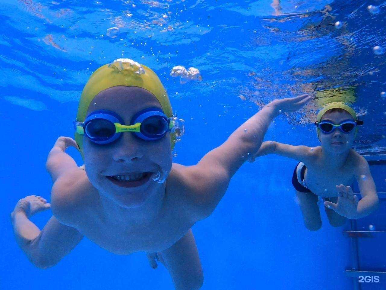 Отзывы на компанию Swim Master в г. Омск c фото
