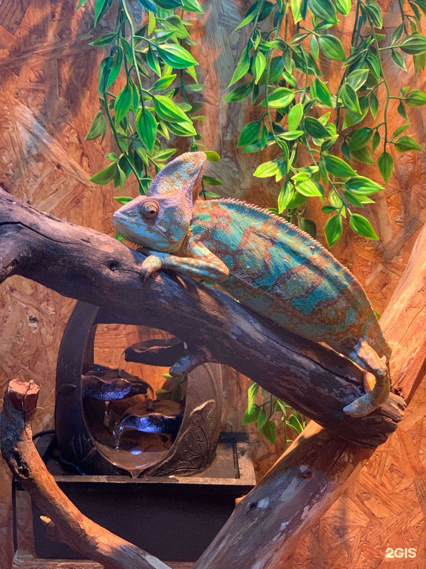 Отзывы на компанию Universal skill в Махачкале c фото - фотография 2 из 2