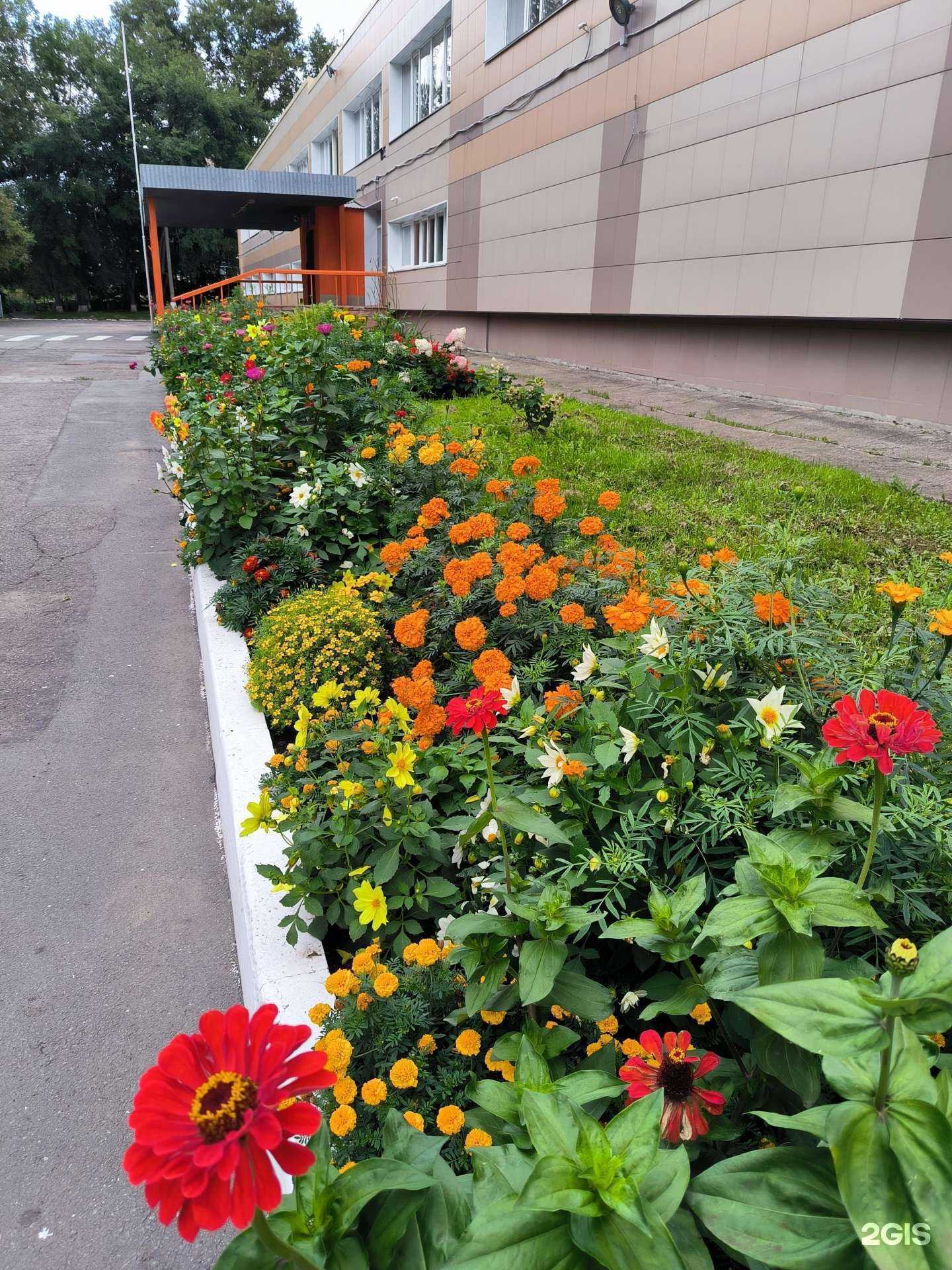 Отзывы на компанию Средняя школа №56 в Новосибирске c фото