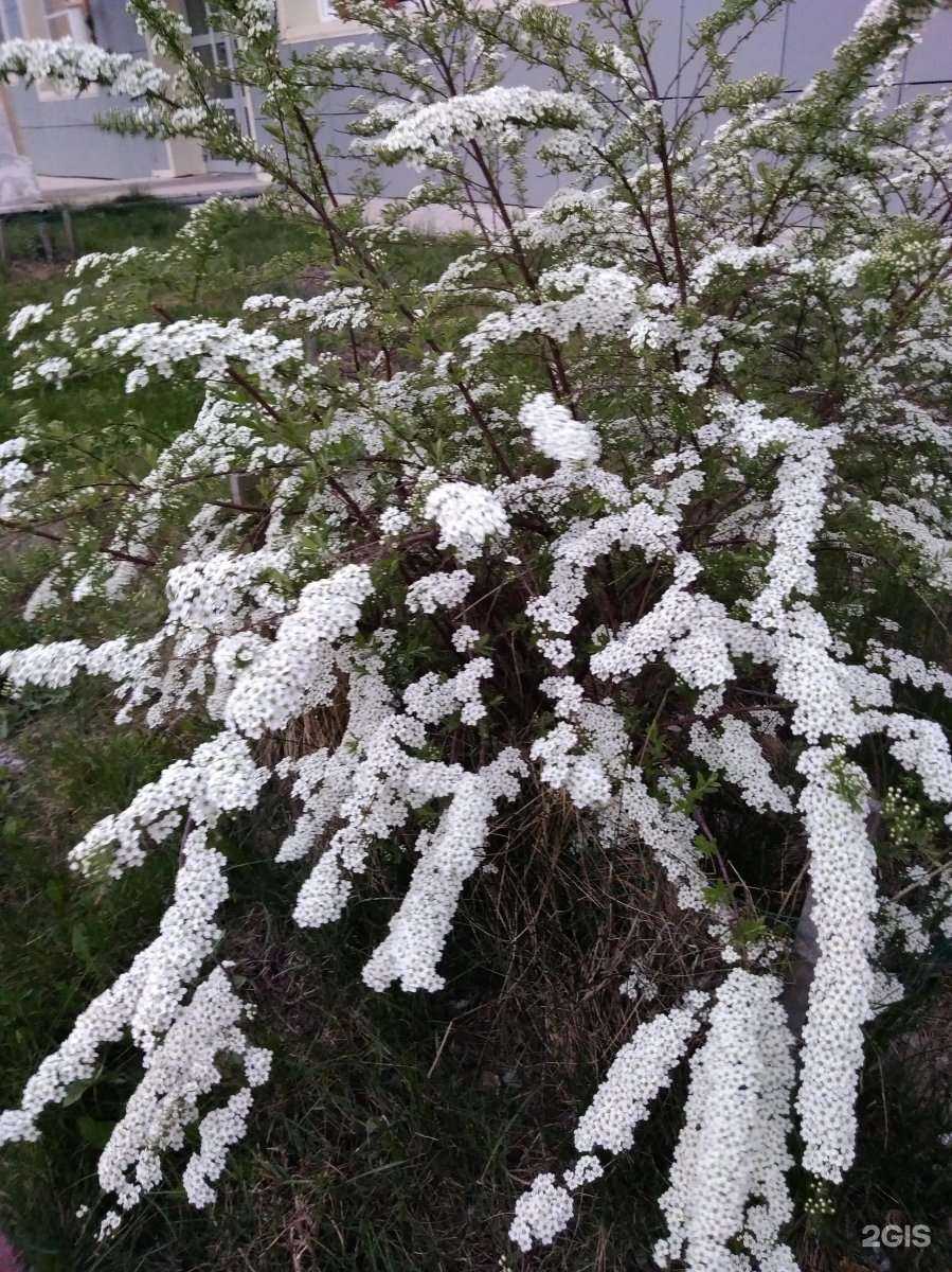 Отзывы на компанию Зверский аппетит в г. Калуга c фото