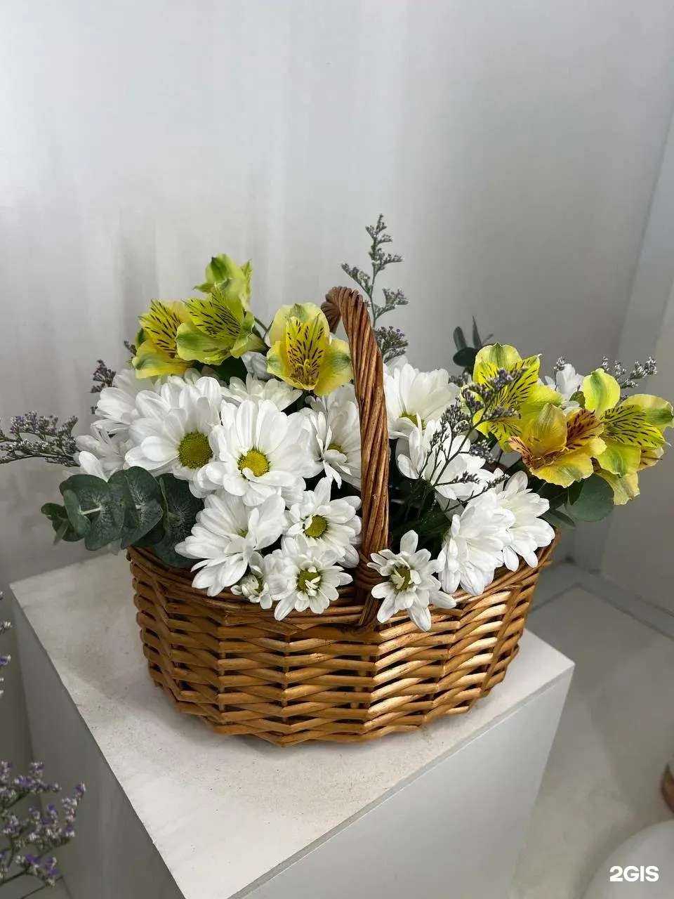 Отзывы на компанию Малена в Владивостоке c фото