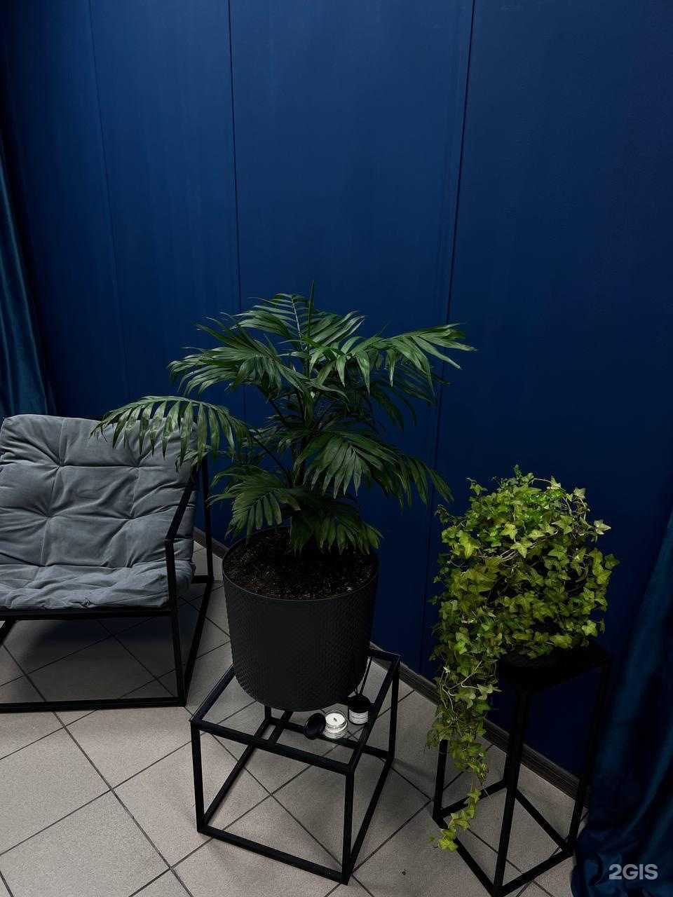 Отзывы на компанию Lola в Новосибирске c фото