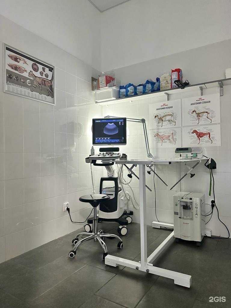 Отзывы на компанию Ветплюс в Калининграде c фото - фотография 2 из 3