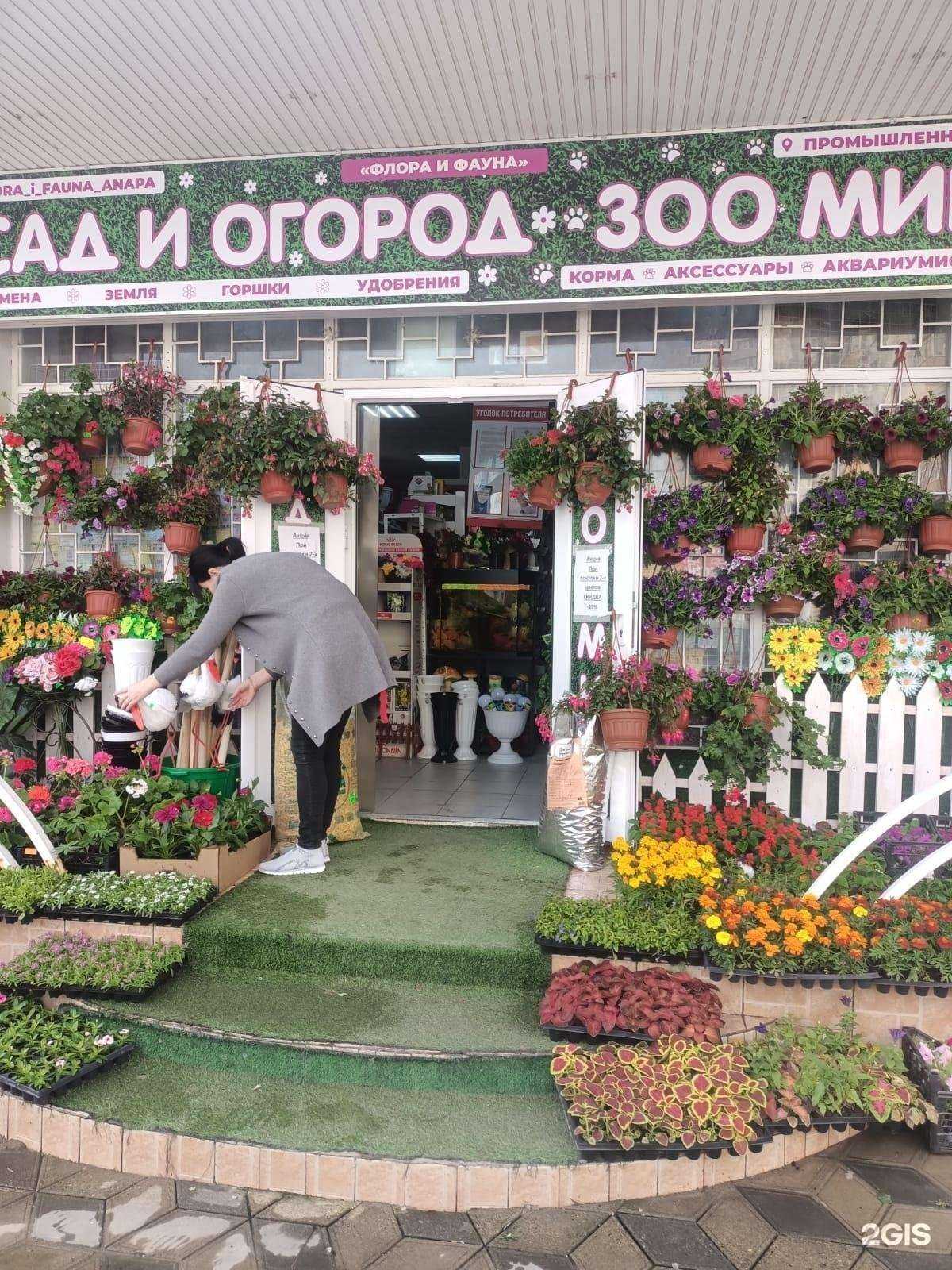 Отзывы на компанию Флора и фауна в Анапе c фото