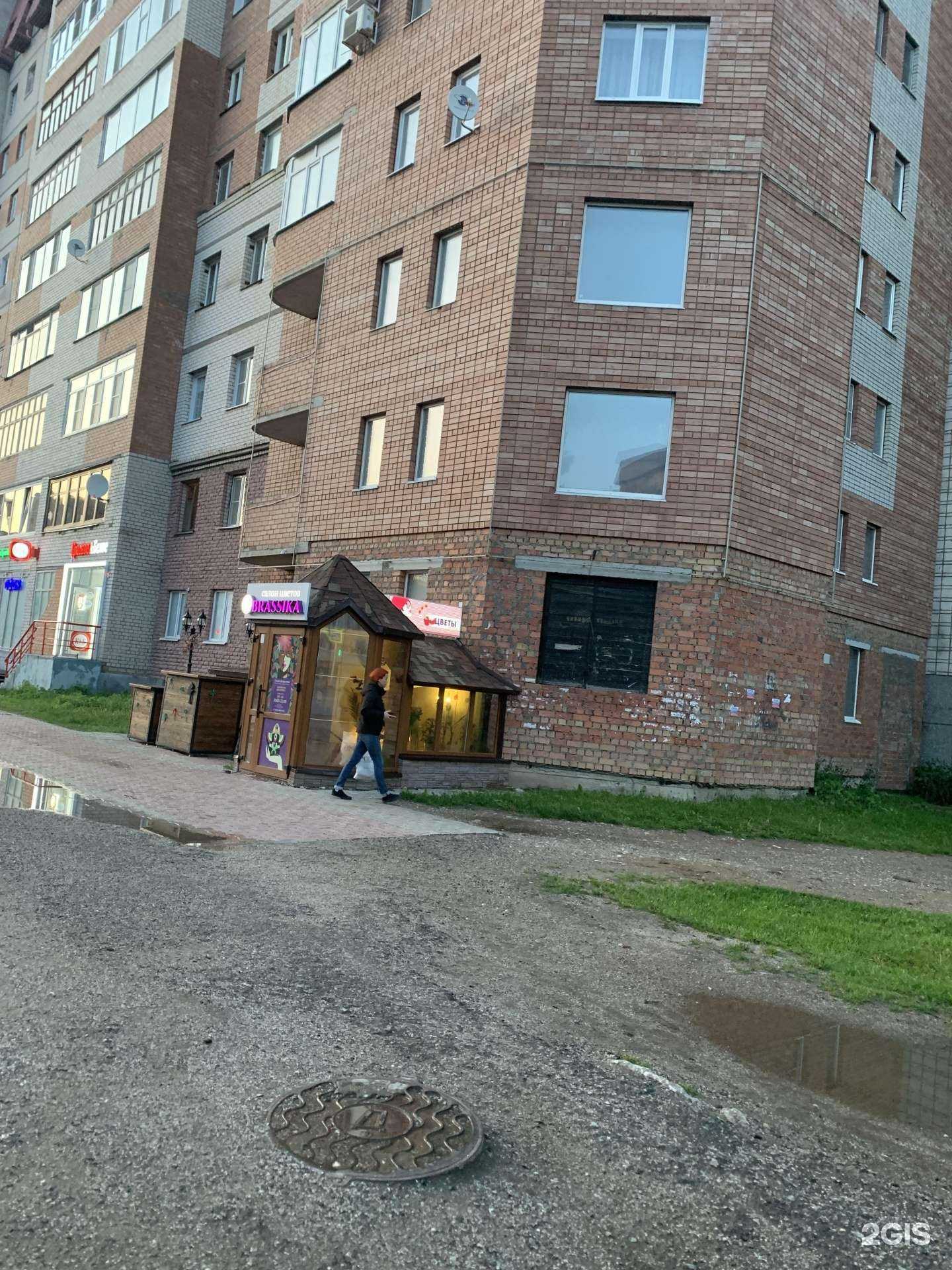 Отзывы на компанию Brassika в Сыктывкаре c фото - фотография 2 из 2