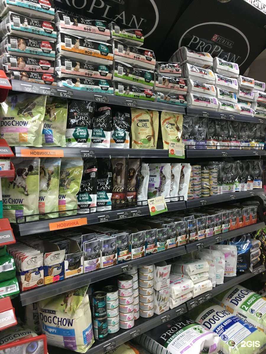 Отзывы на компанию Лап Лапыч в г. Новосибирск c фото