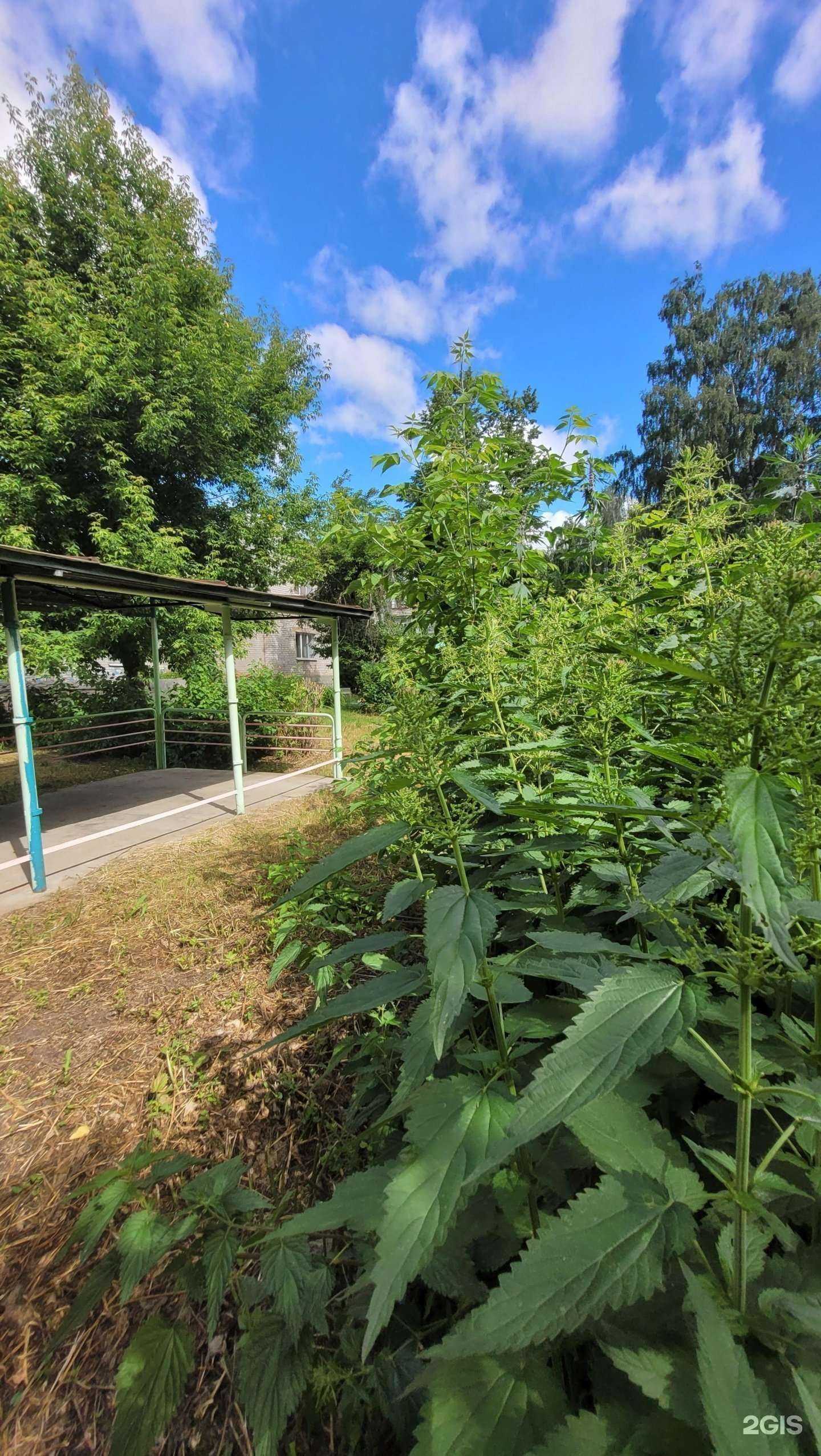 Отзывы на компанию Детский сад №222 комбинированного вида в Казани c фото