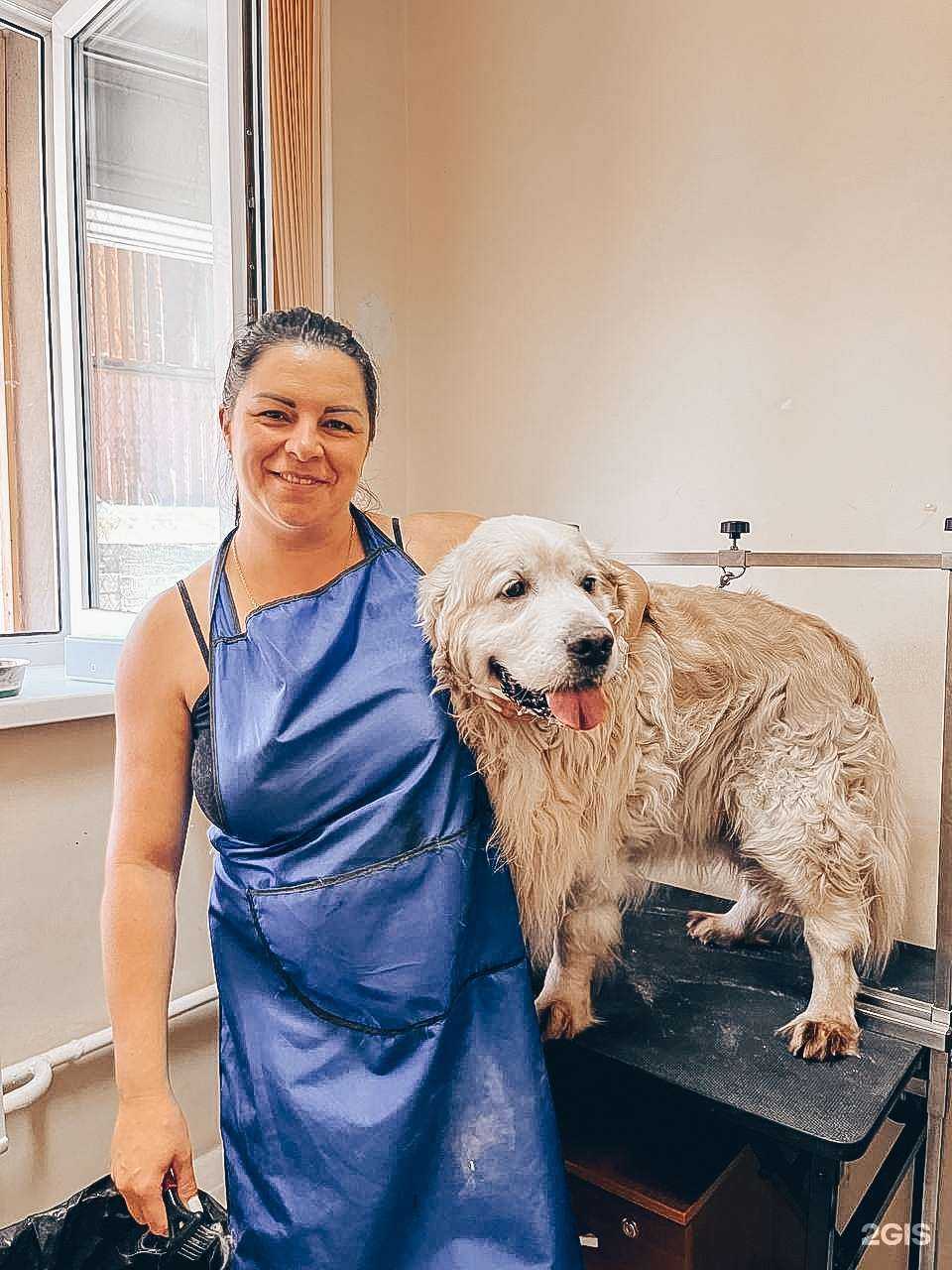 Отзывы на компанию Котейка в г. Иркутск c фото