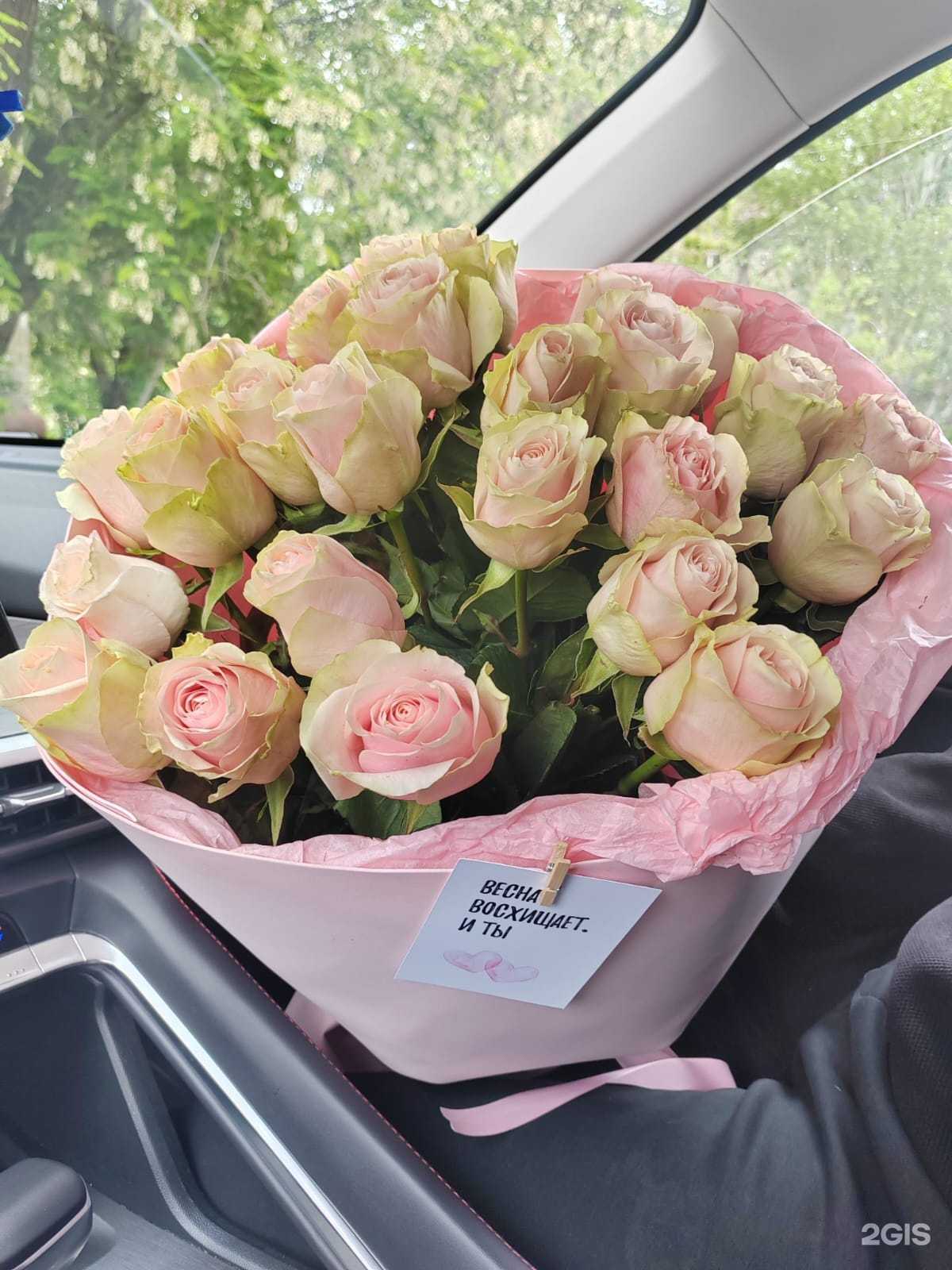 Отзывы на компанию Улица Роз в Волгограде c фото