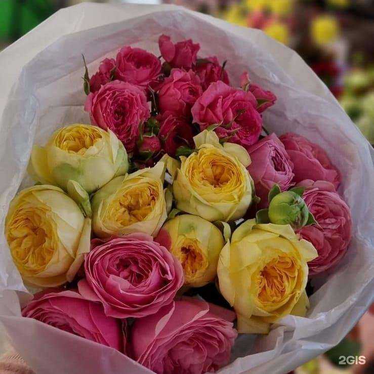 Отзывы на компанию Белая Роза в Новосибирске c фото