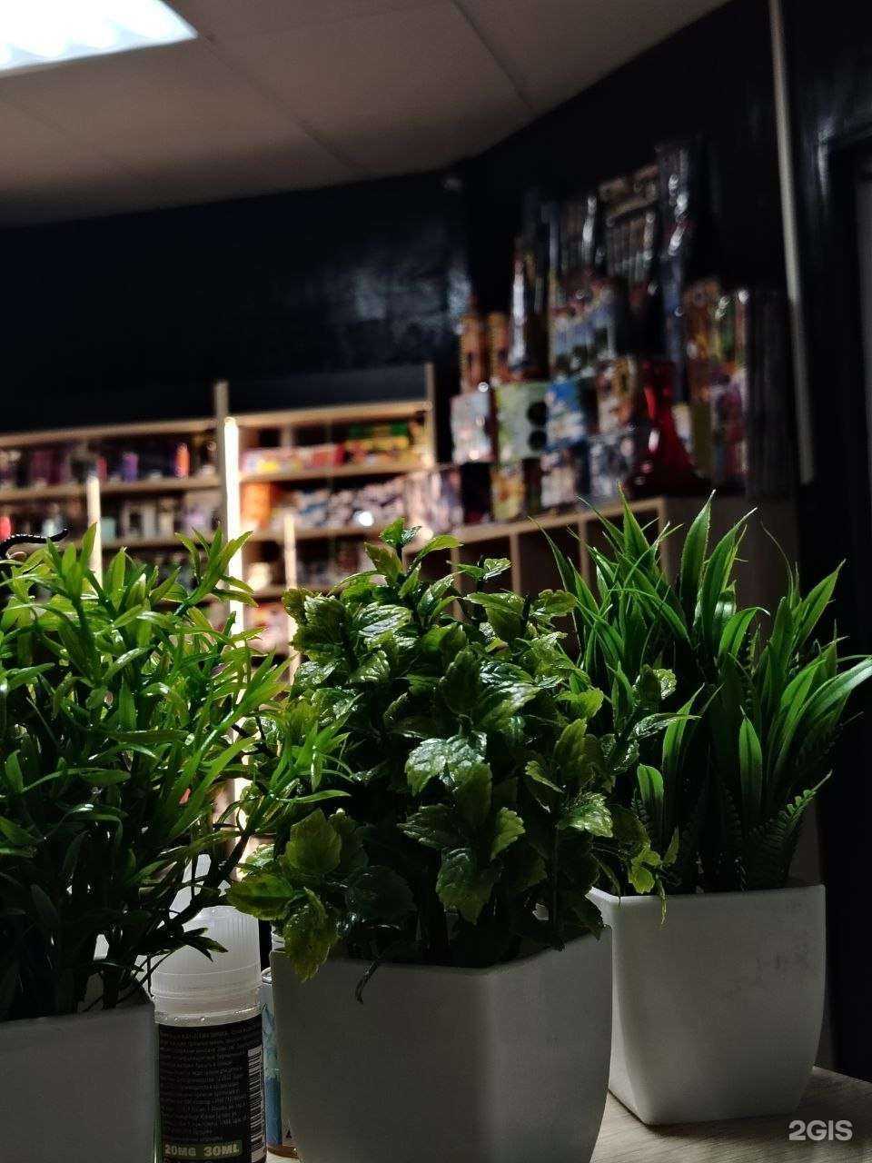 Отзывы на компанию Sky Par в Йошкар-Оле c фото