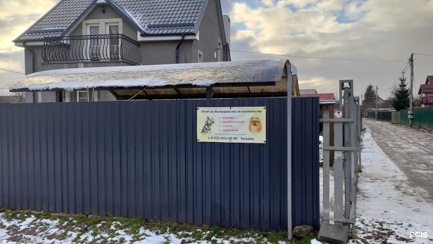 Отзывы на компанию Восток в Калининграде c фото